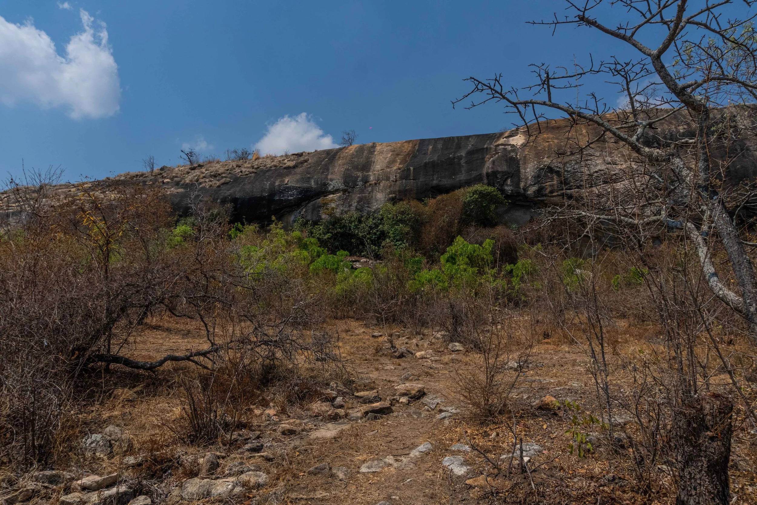Dry trail leading up a rocky hillside with sparse leafless trees, some green shrubbery, and a large dark rock face under a blue sky with a few clouds.