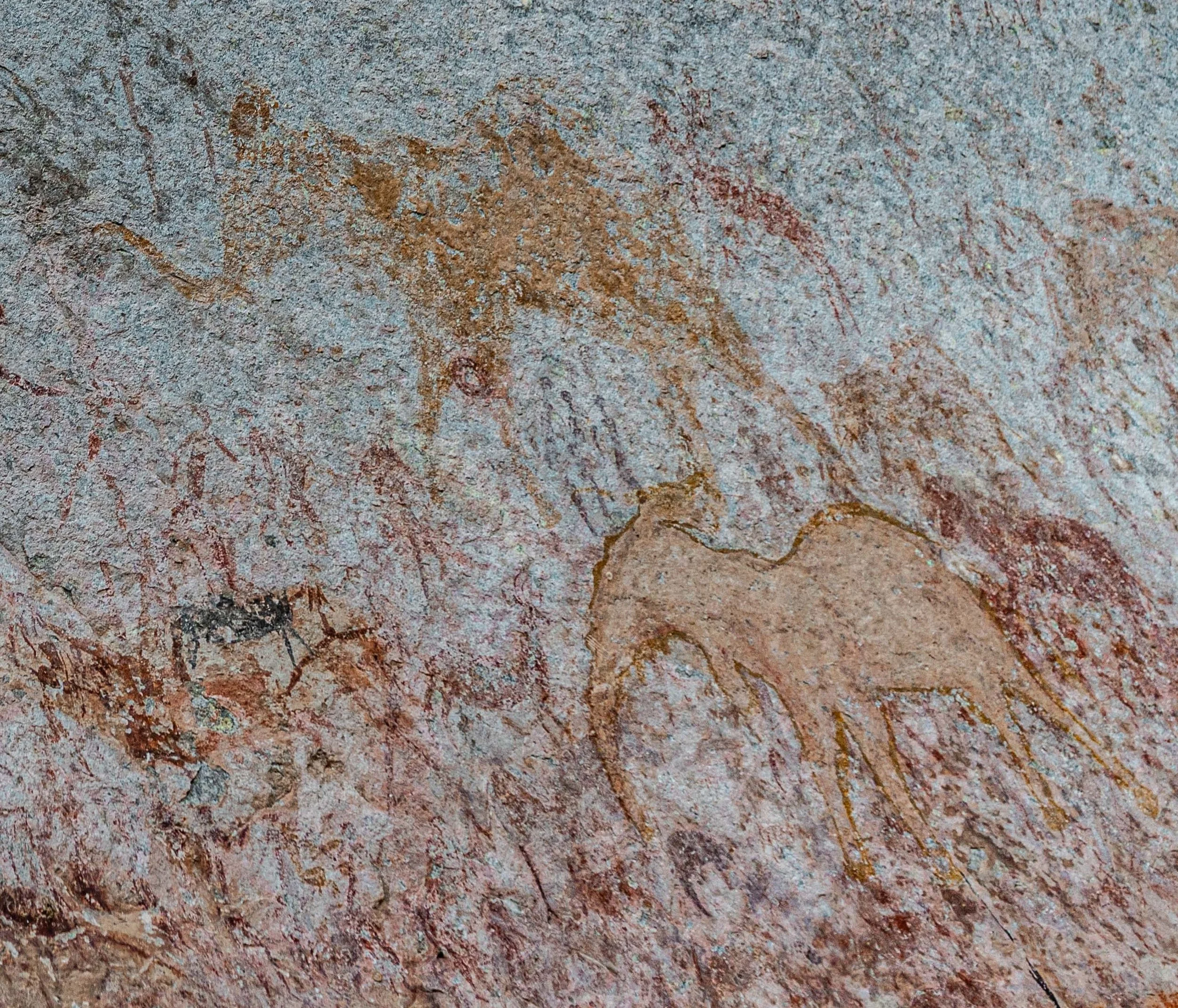 Precise prehistoric cave painting of a brown elephant on a textured rock wall.
