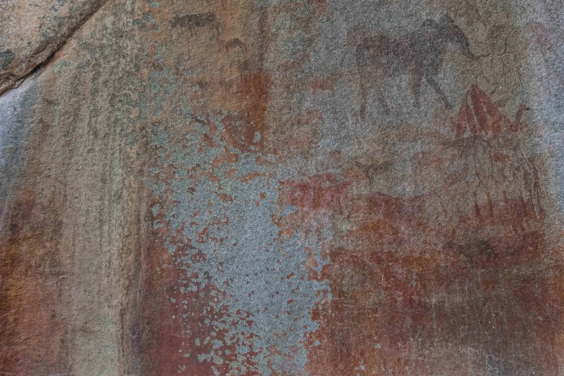 A section of an ancient cave wall with painted animal figures, including a deer and an elephant, along with geometric shapes, all created with natural pigments.