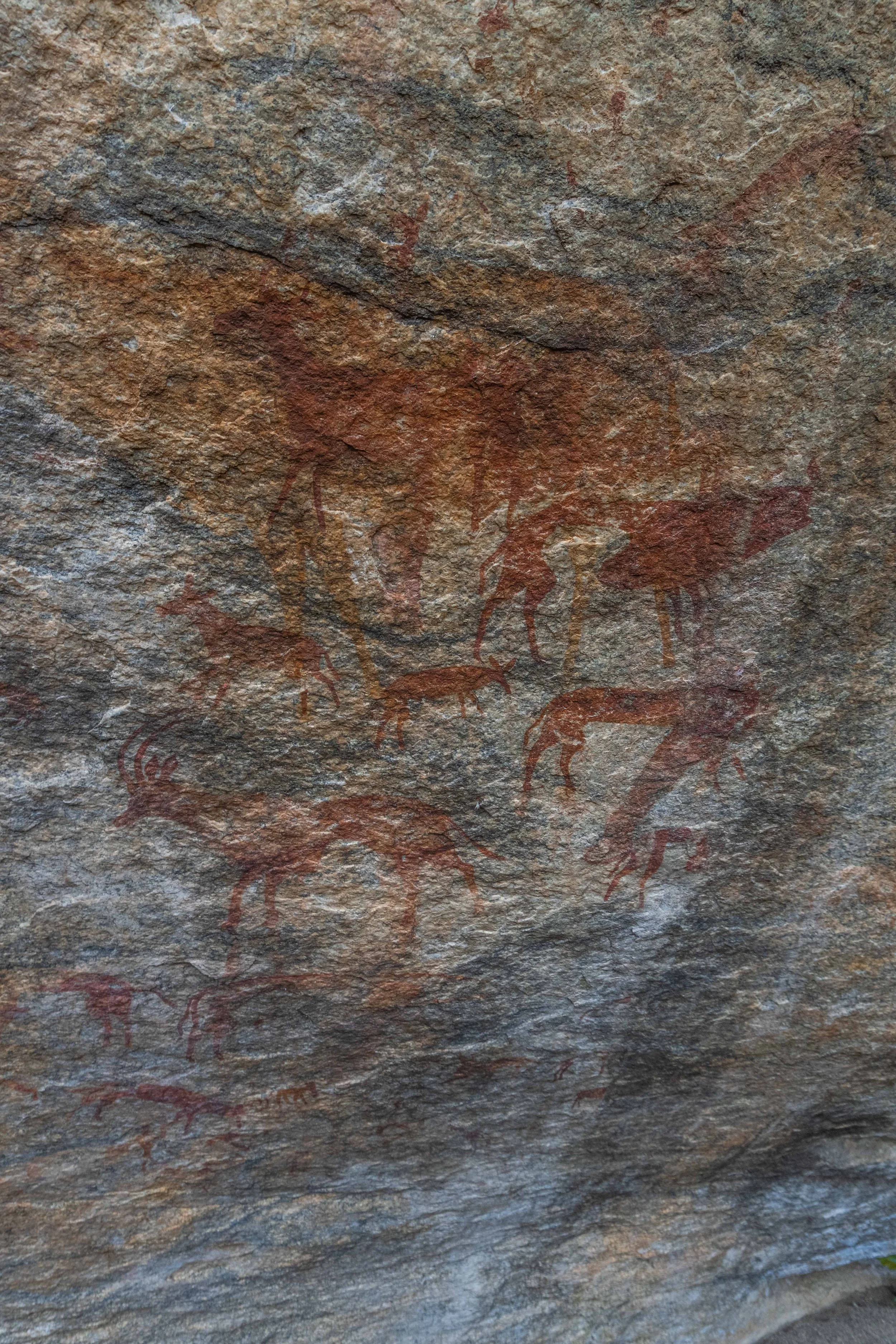 Ancient cave painting of various animals on a rock surface, including deer.