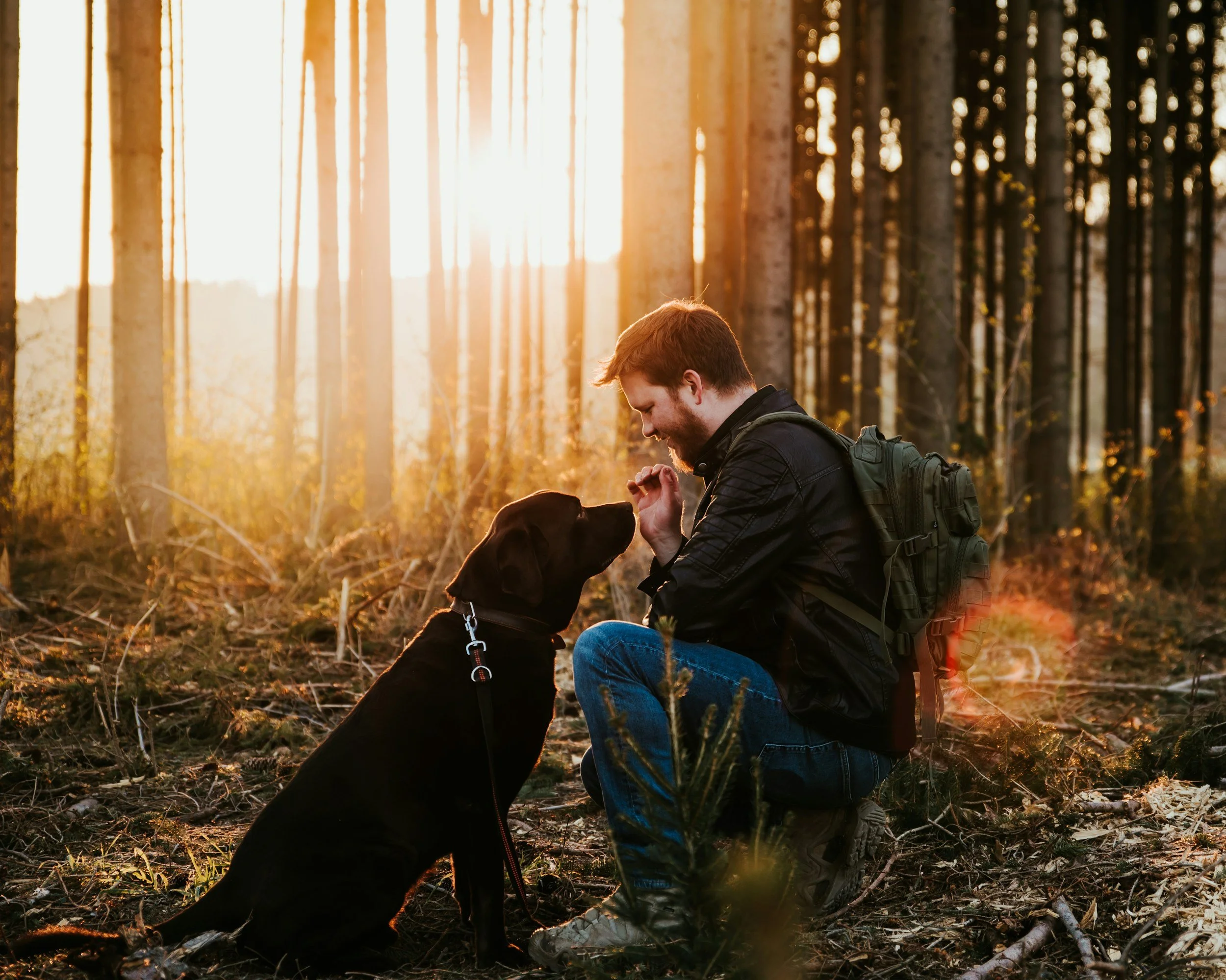 A man with a backpack kneels in a forest at sunset, interacting with a black Labrador retriever dog sitting in front of him.