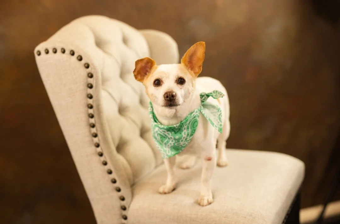 Back Where She Belongs