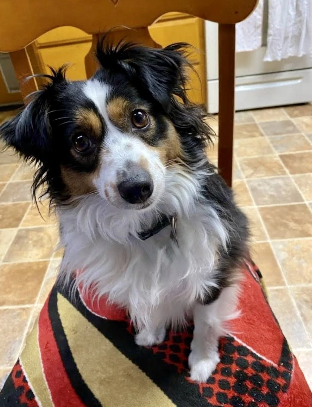 Crisis Care, Community Support