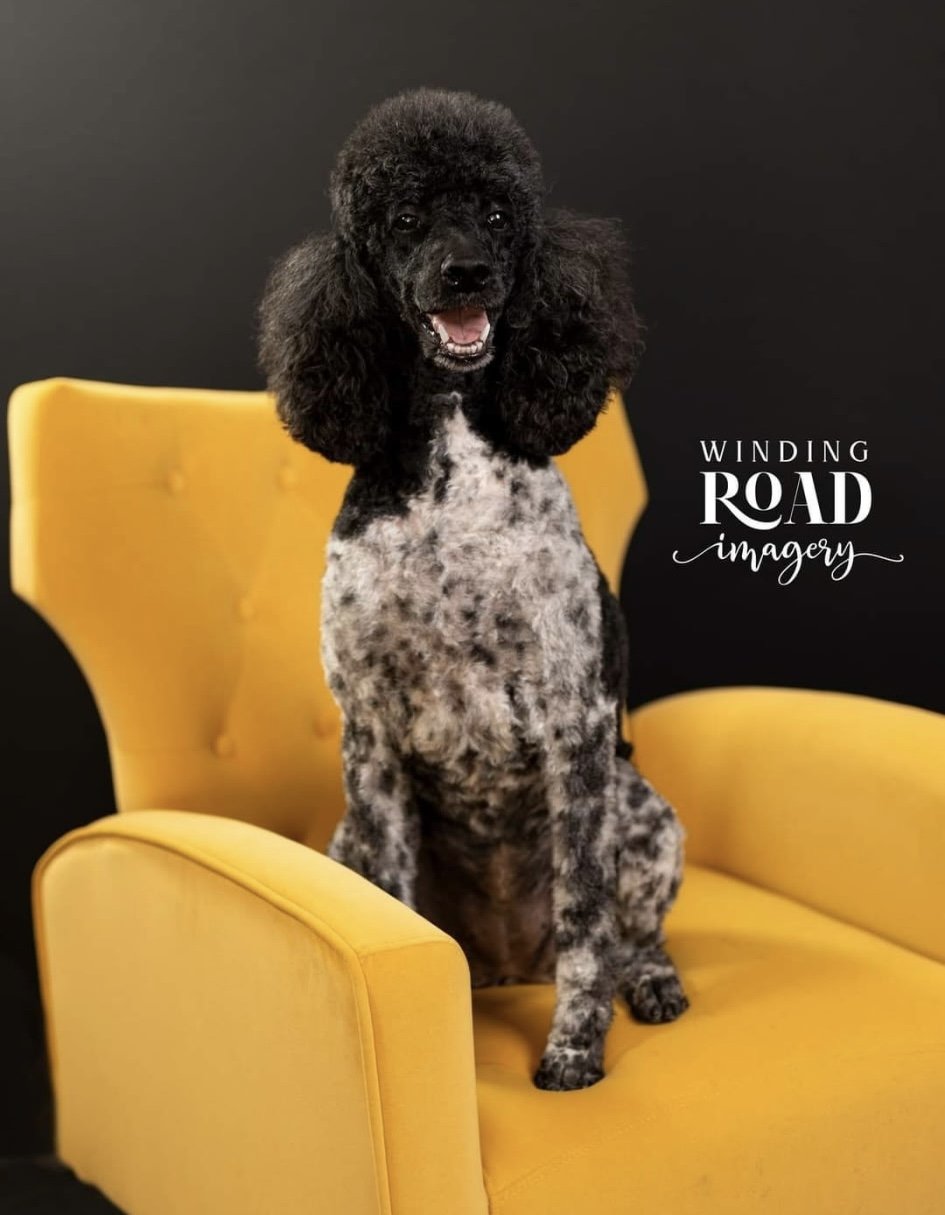 Winding Road Imagery