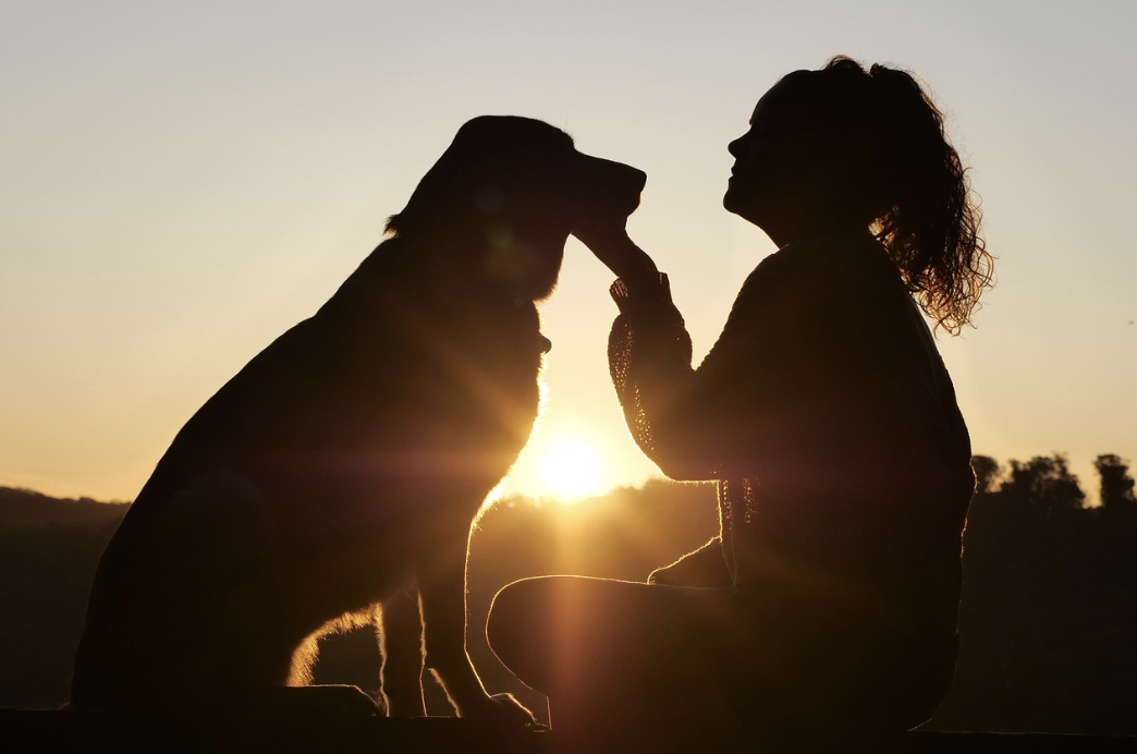 Silhouette of a woman playing with her dog at sunset, with the sun near the horizon, creating a warm glow.