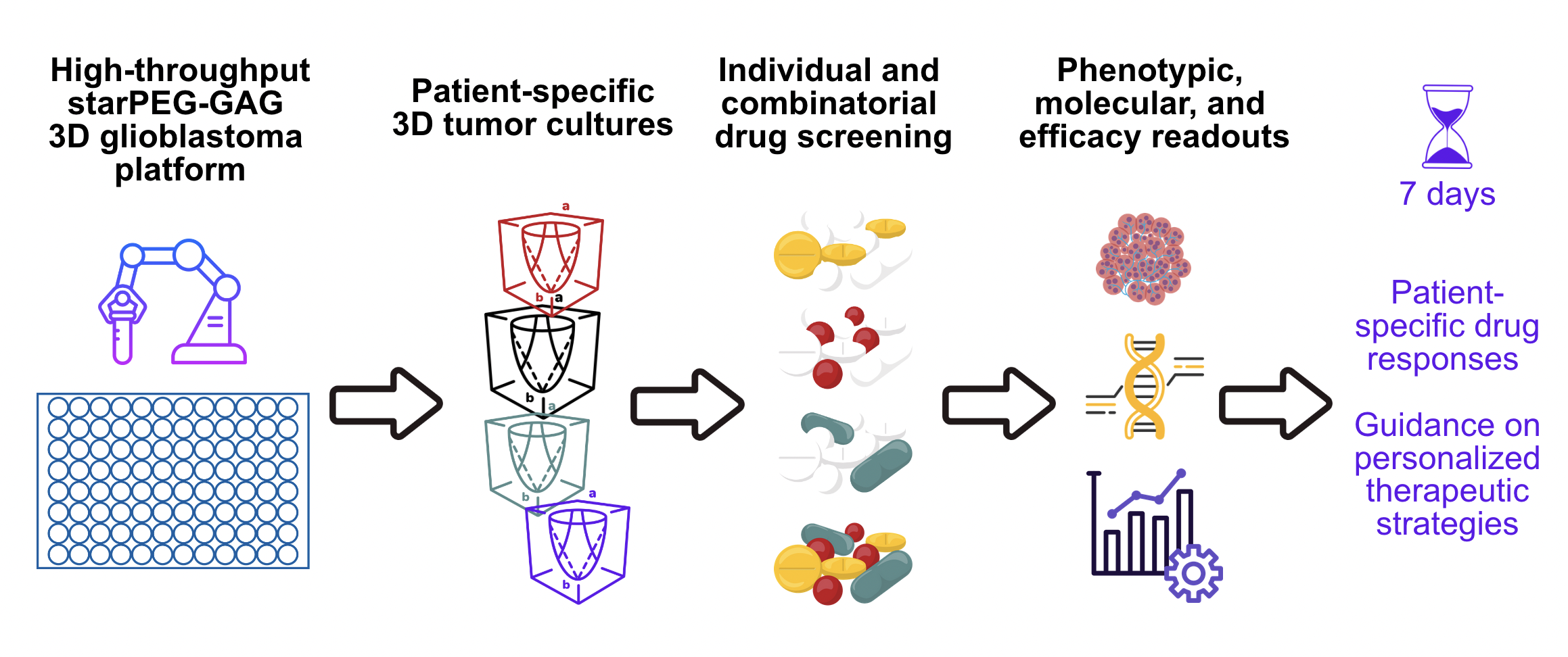 Flowchart illustrating a 3D glioblastoma platform. It shows high-throughput starPEG-GAG 3D tumor cultures, followed by patient-specific 3D tumor cultures, then individual and combinatorial drug screening. Results include phenotypic, molecular, and efficacy readouts, leading to patient-specific drug responses and guidance on personalized therapeutic strategies, with timelines of 7 days.