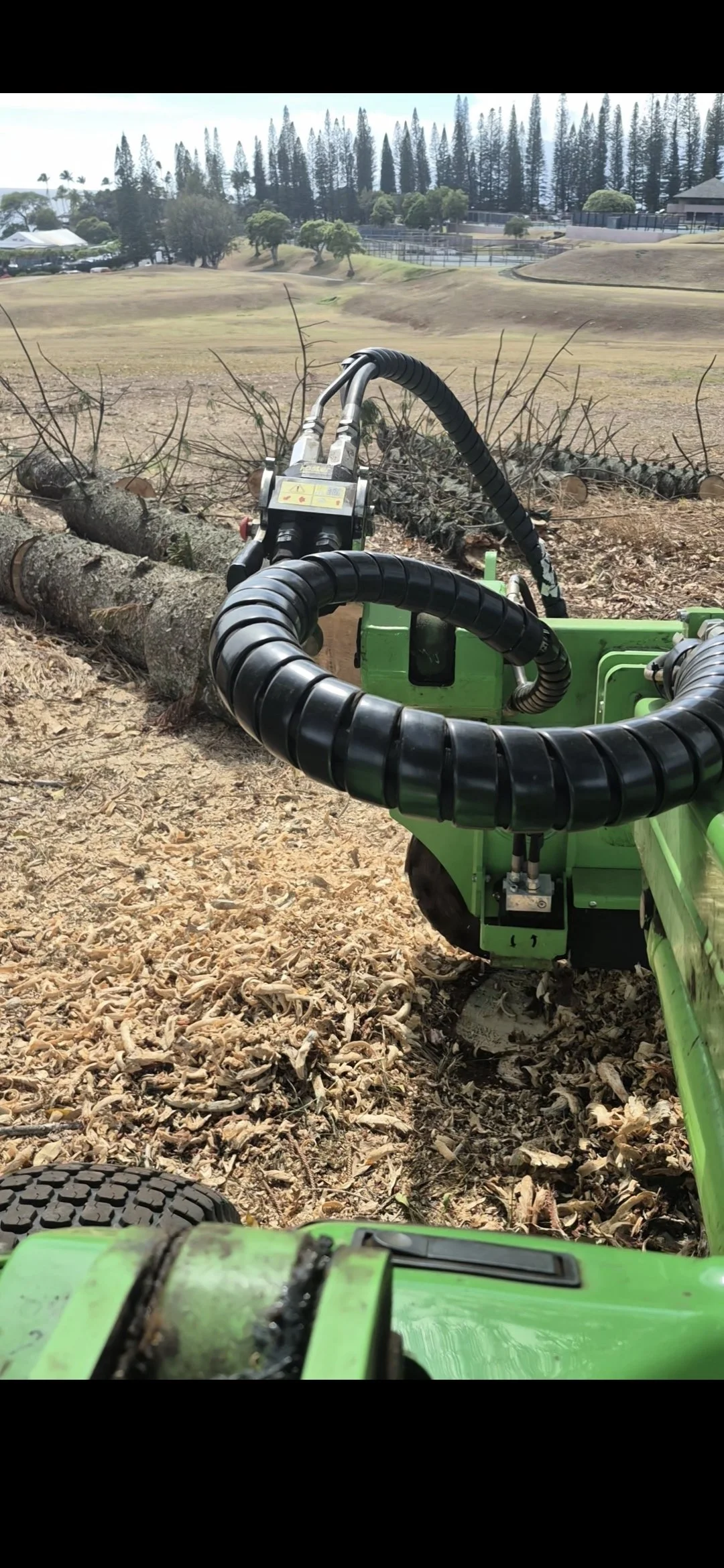 Stump Grinding