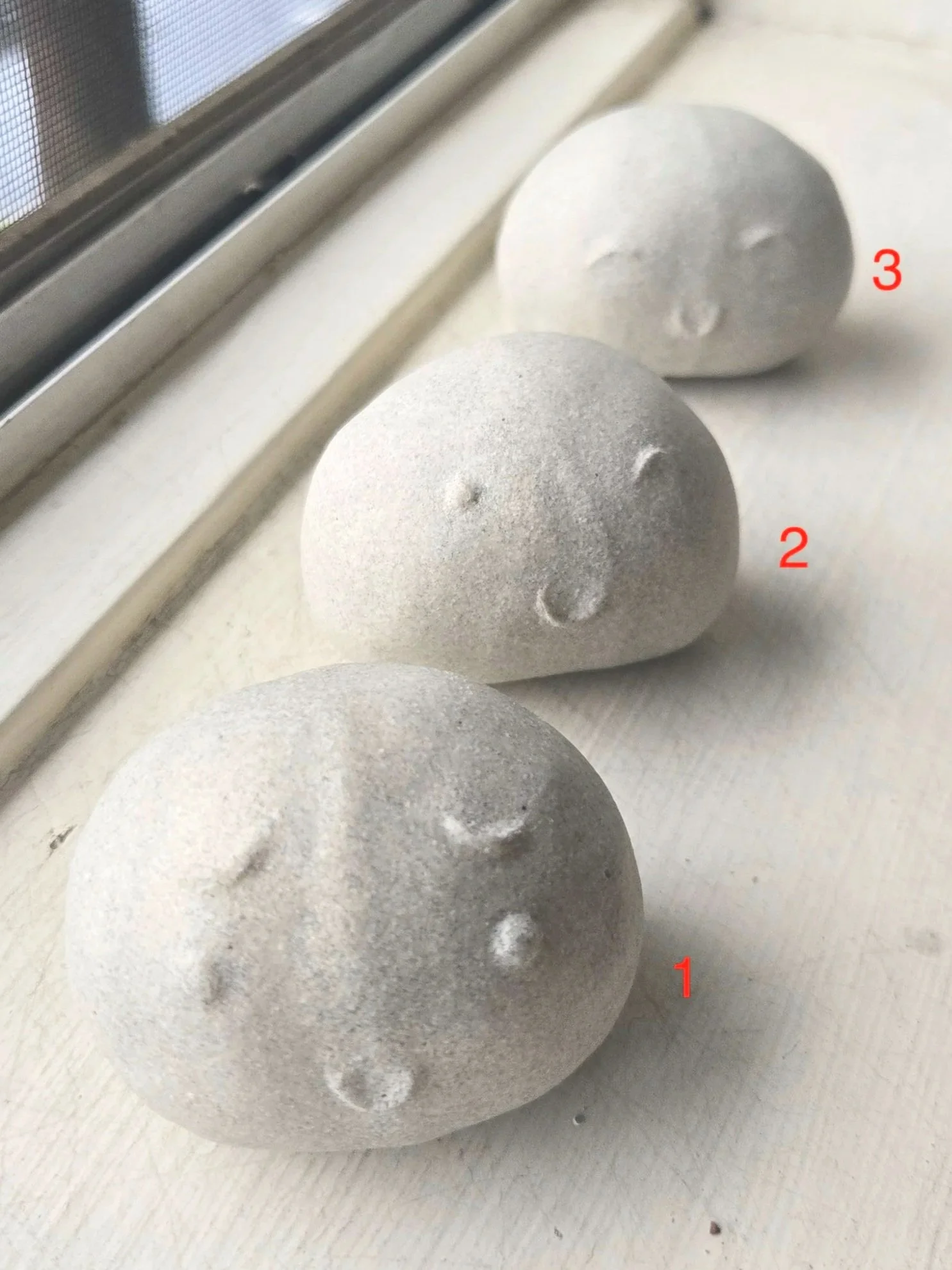 emotional support bean shakers 2.0