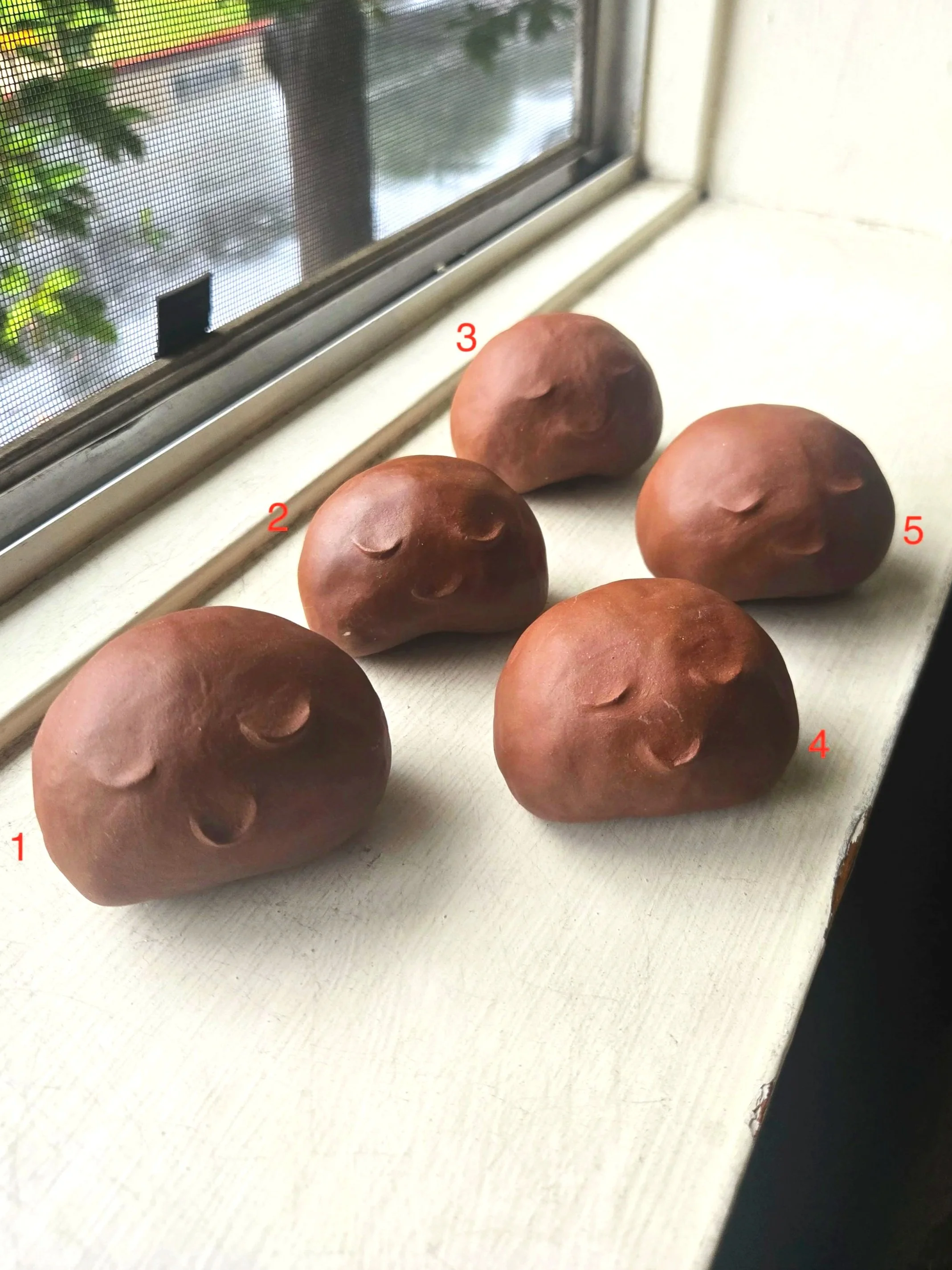 emotional support *red* bean shaker