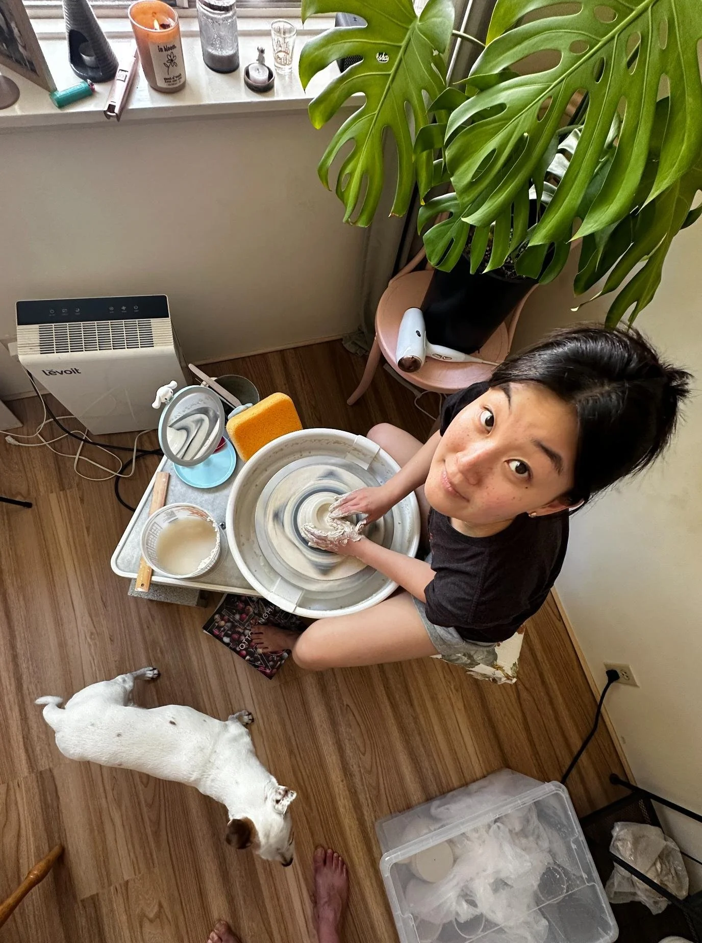 A woman sitting on the floor spinning clay on a pottery wheel. She has wet hands and is focused on shaping the clay. A small dog stands nearby on the wooden floor, looking up. The room has a large potted plant, a window sill with various items, and a plastic storage container with supplies.
