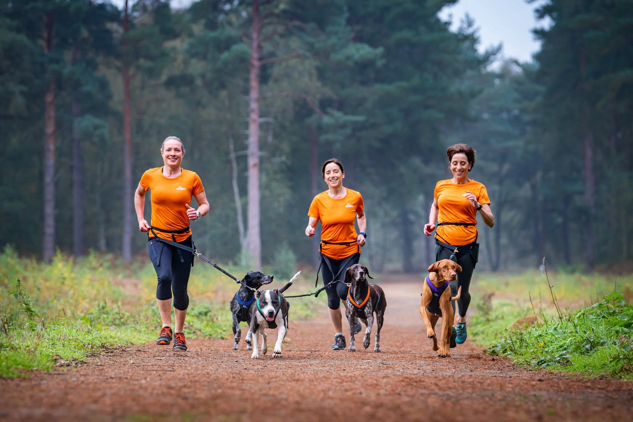 Three women jogging with their dogs on a dirt trail through a green forest.