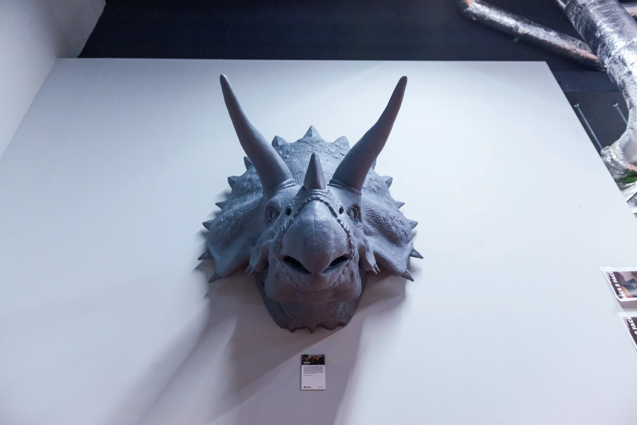 F2F Creative Debuts March 2026 finals-321.jpg