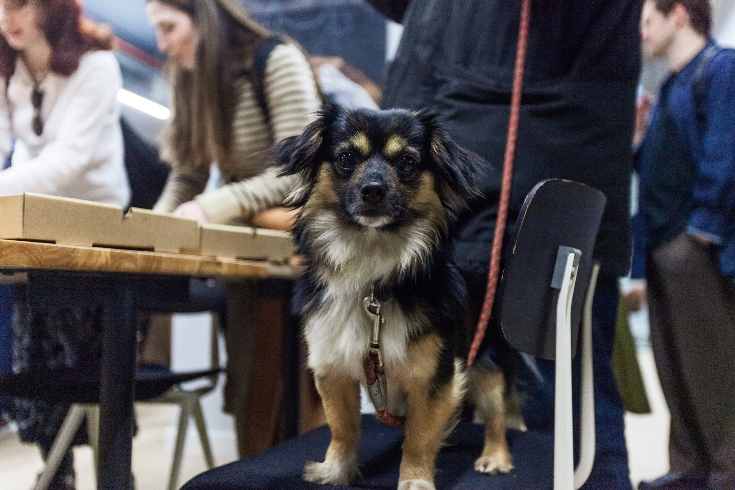 F2F Creative Debuts March 2026 finals-400.jpg