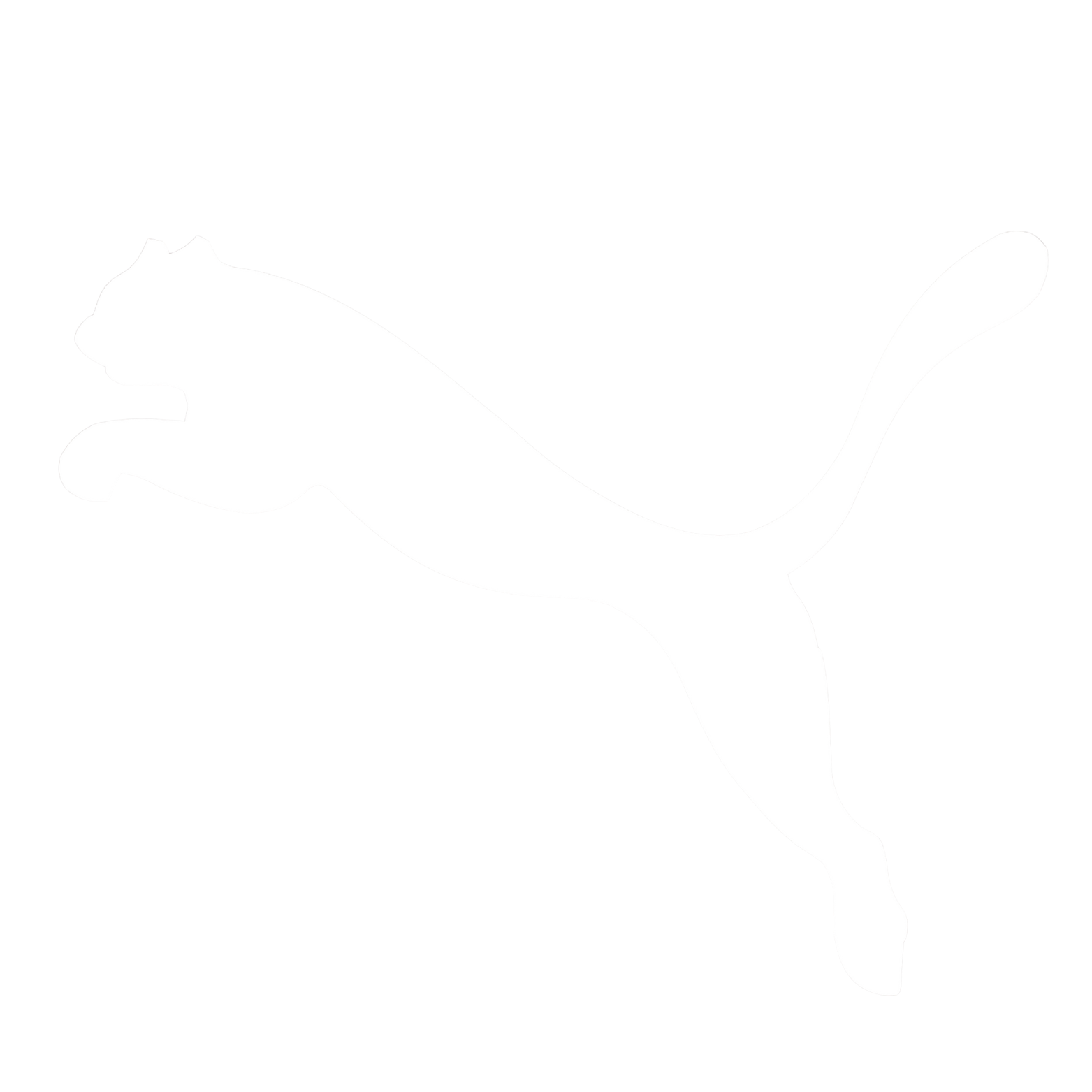 puma.png