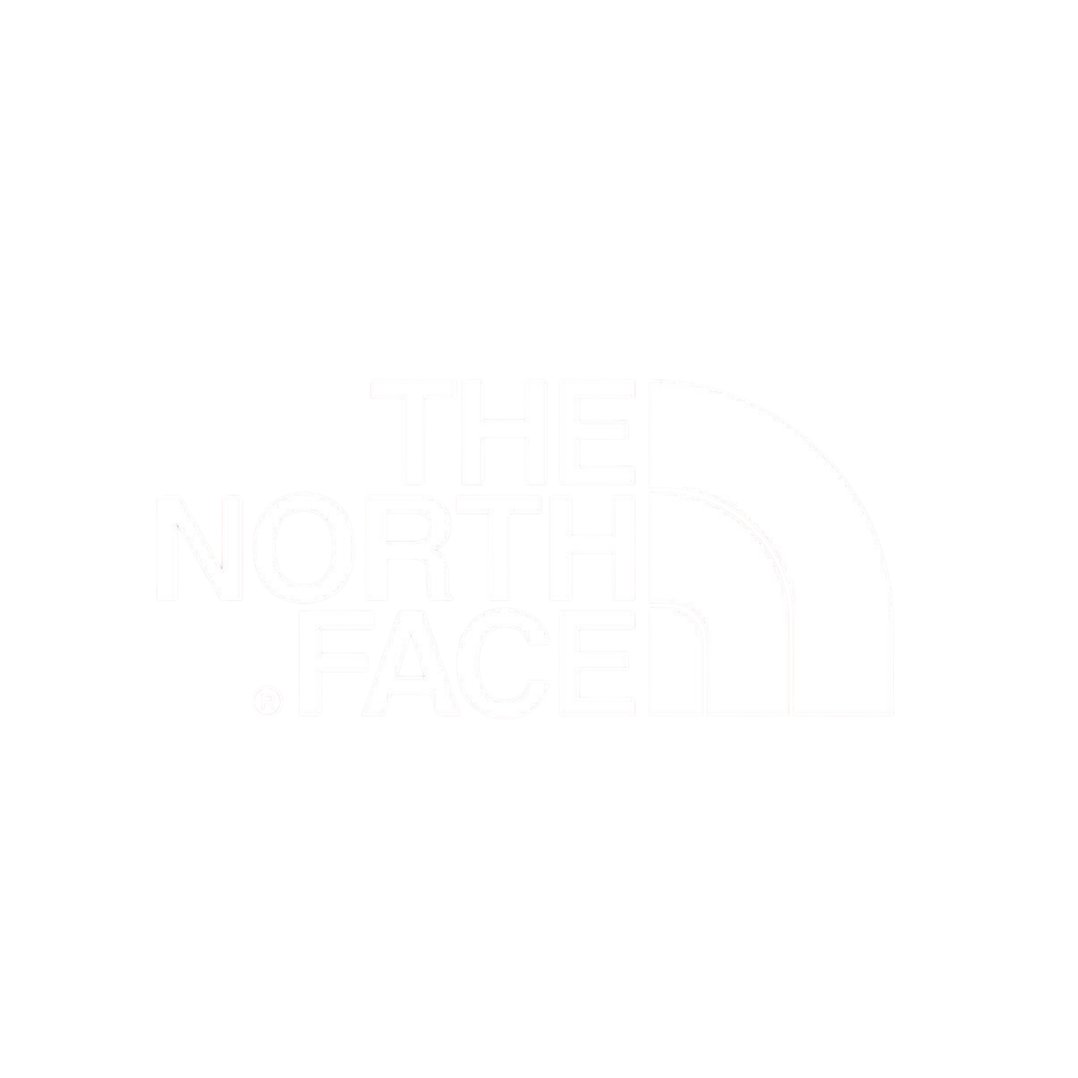 north face.png