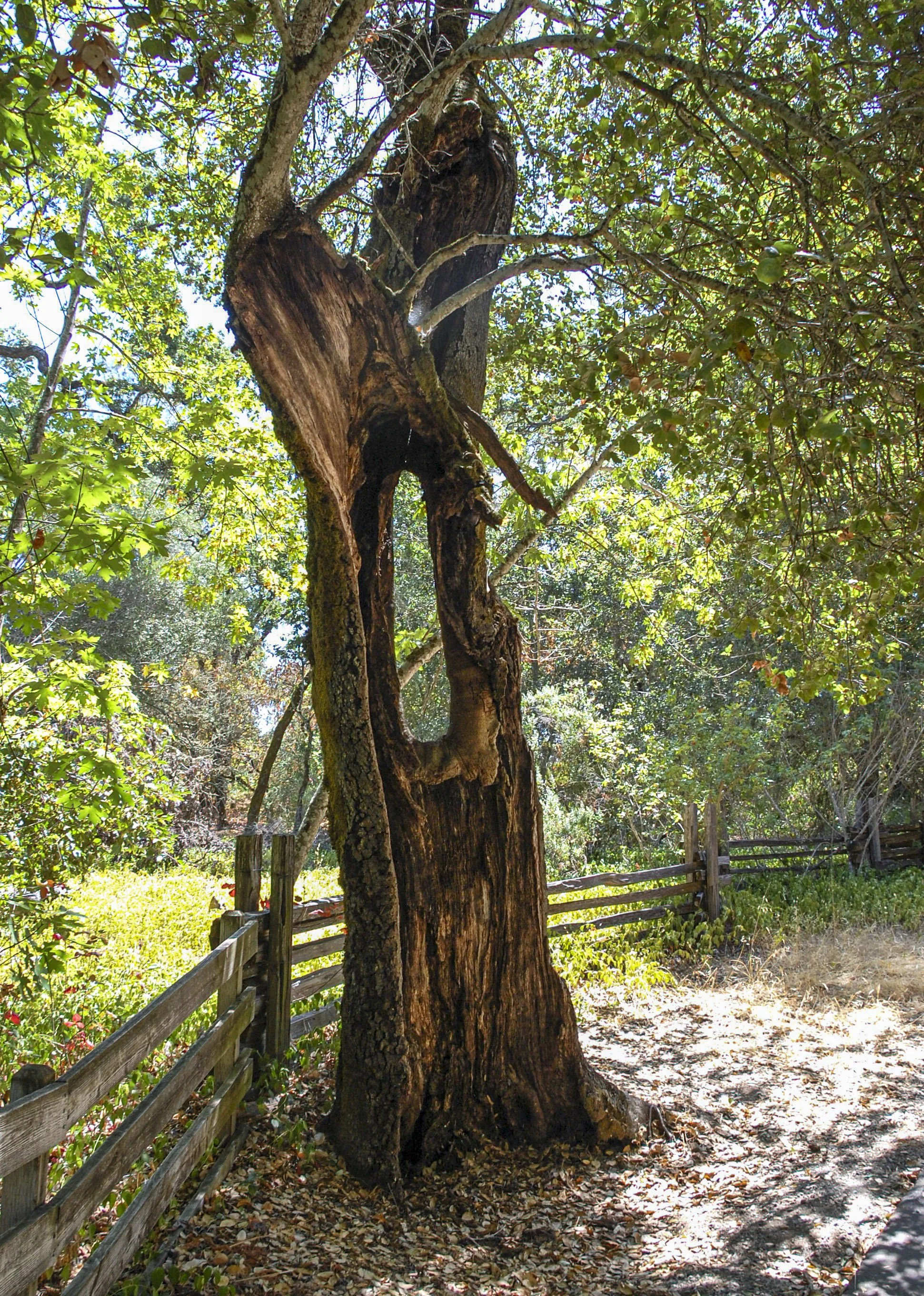 Napa, California