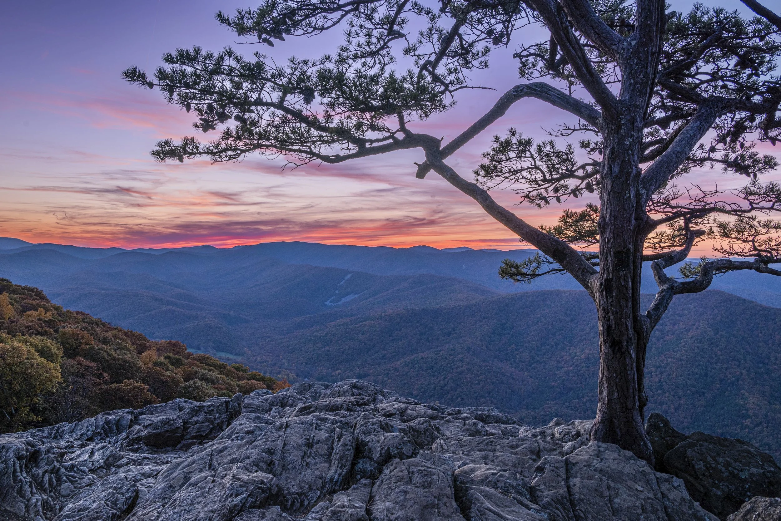 Blue Ridge Parkway, Virginia