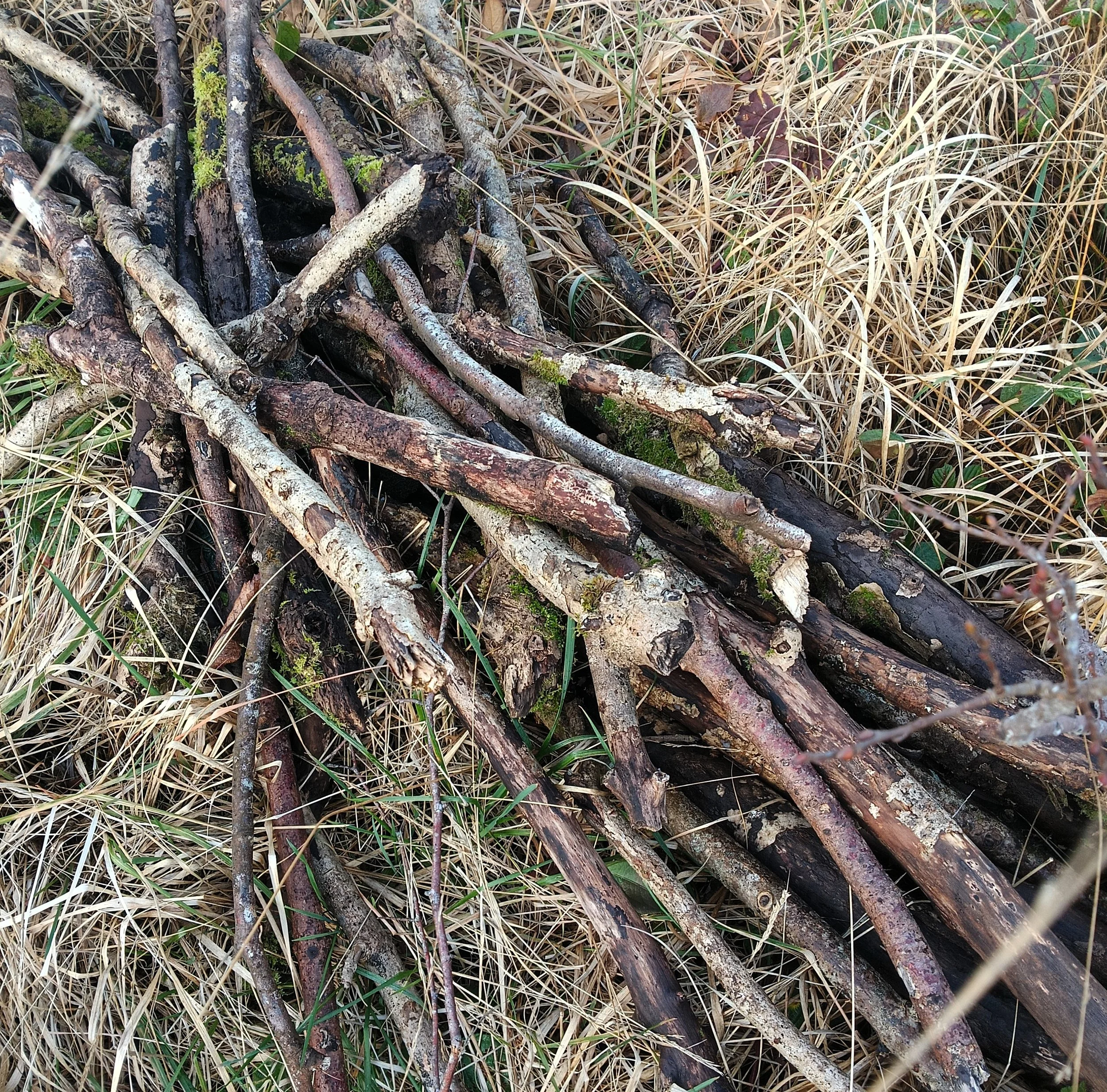 A pile of sticks and small branches on dry grass.