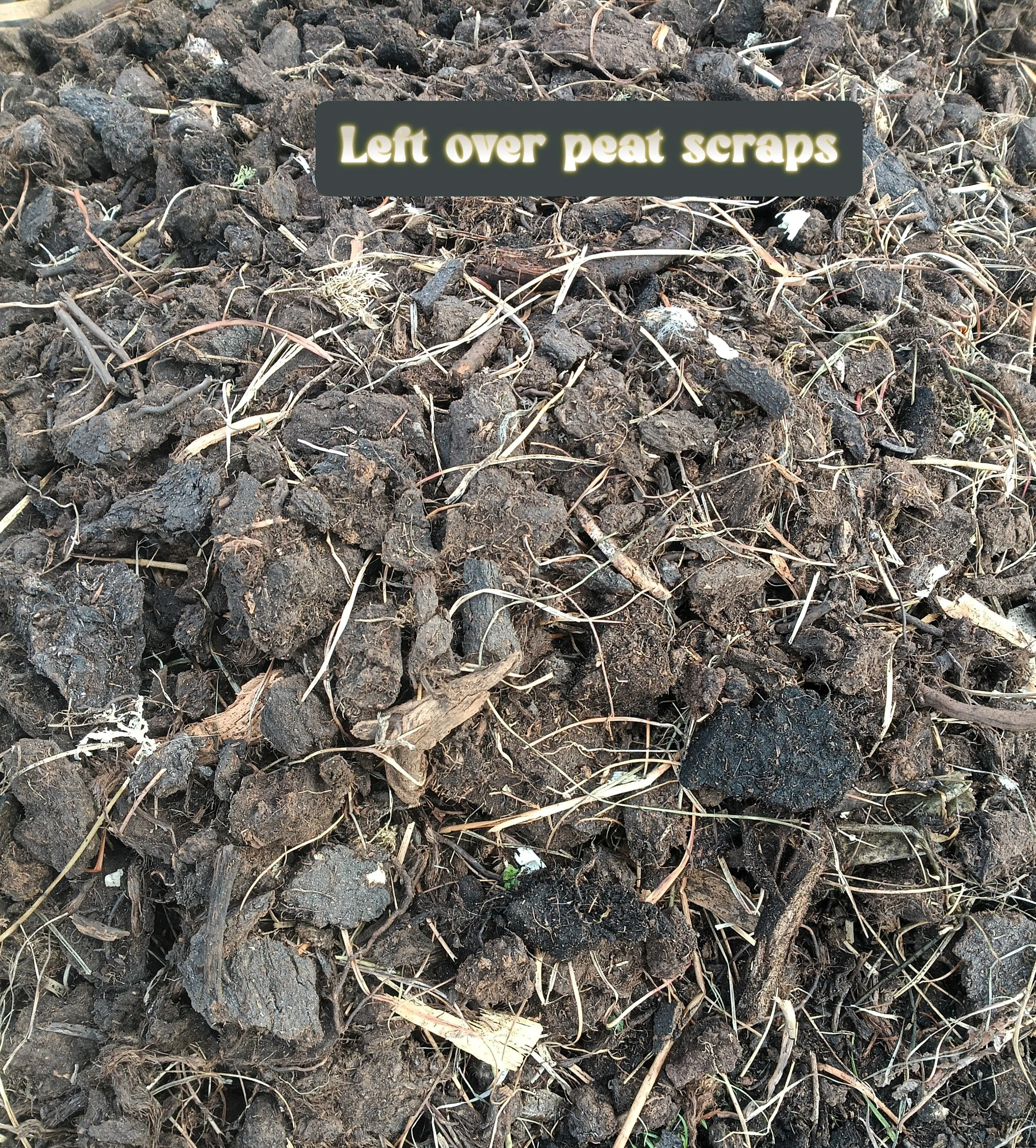 Close-up of soil with leftover peat scrapes and small organic debris, labeled 'Left over peat scraps'.