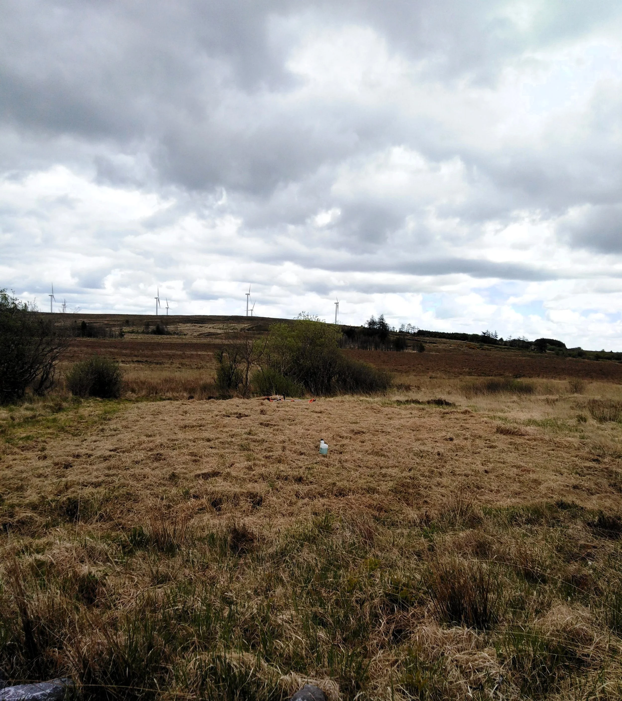Open grassy field with shrubs, wind turbines on a hill in the distance, and cloudy sky overhead.