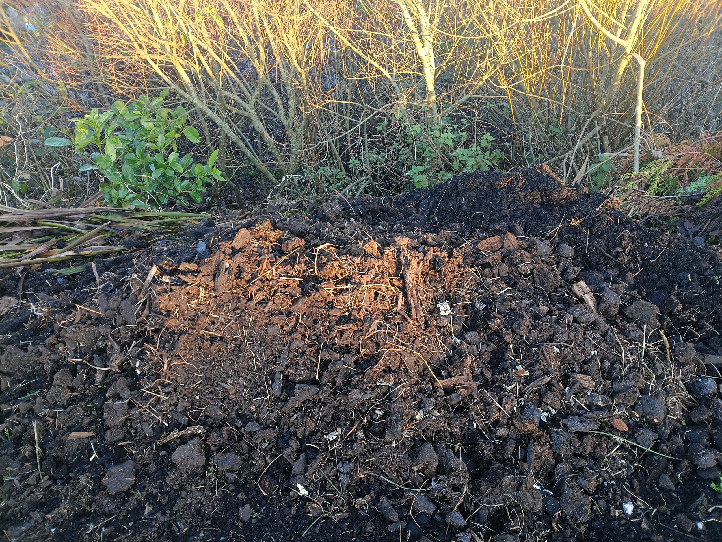 Close-up of dark, moist soil with some small rocks, on a garden bed with plants and bushes in the background.
