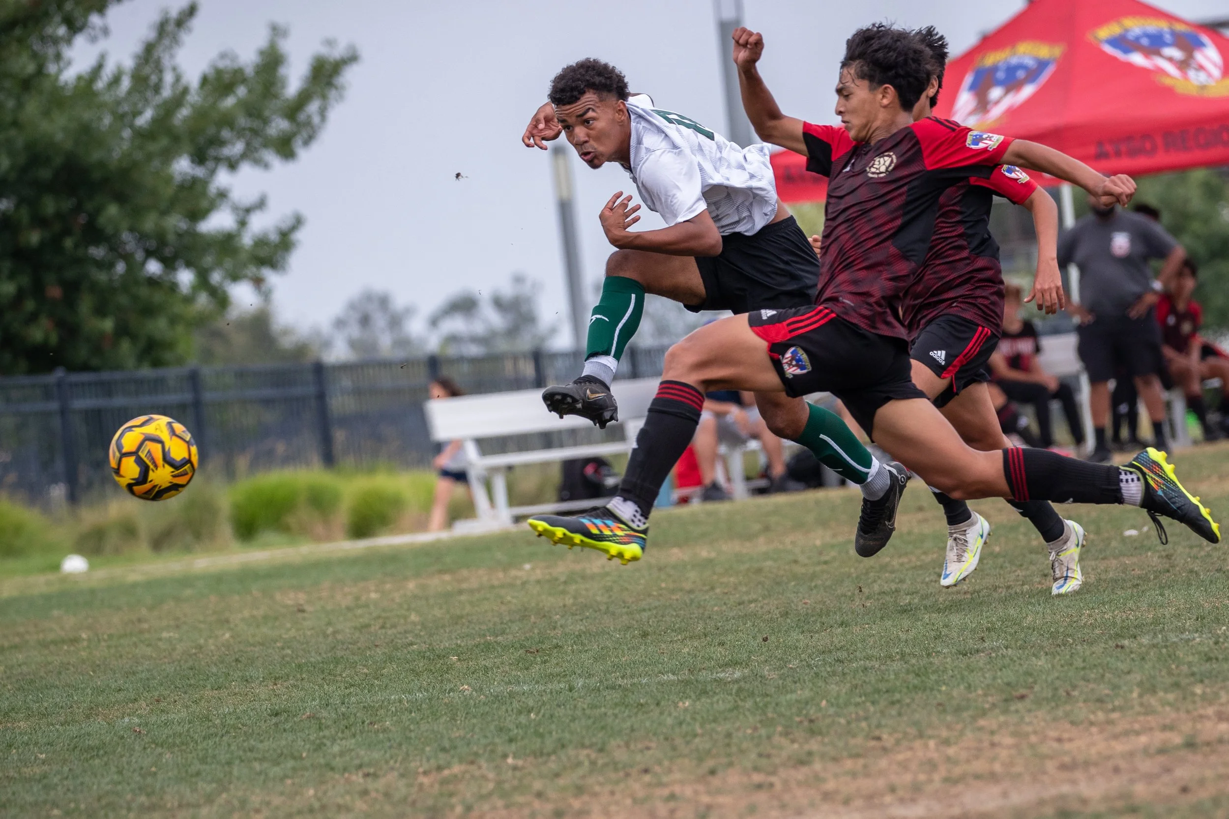 AF7I2947_CC copy.jpg