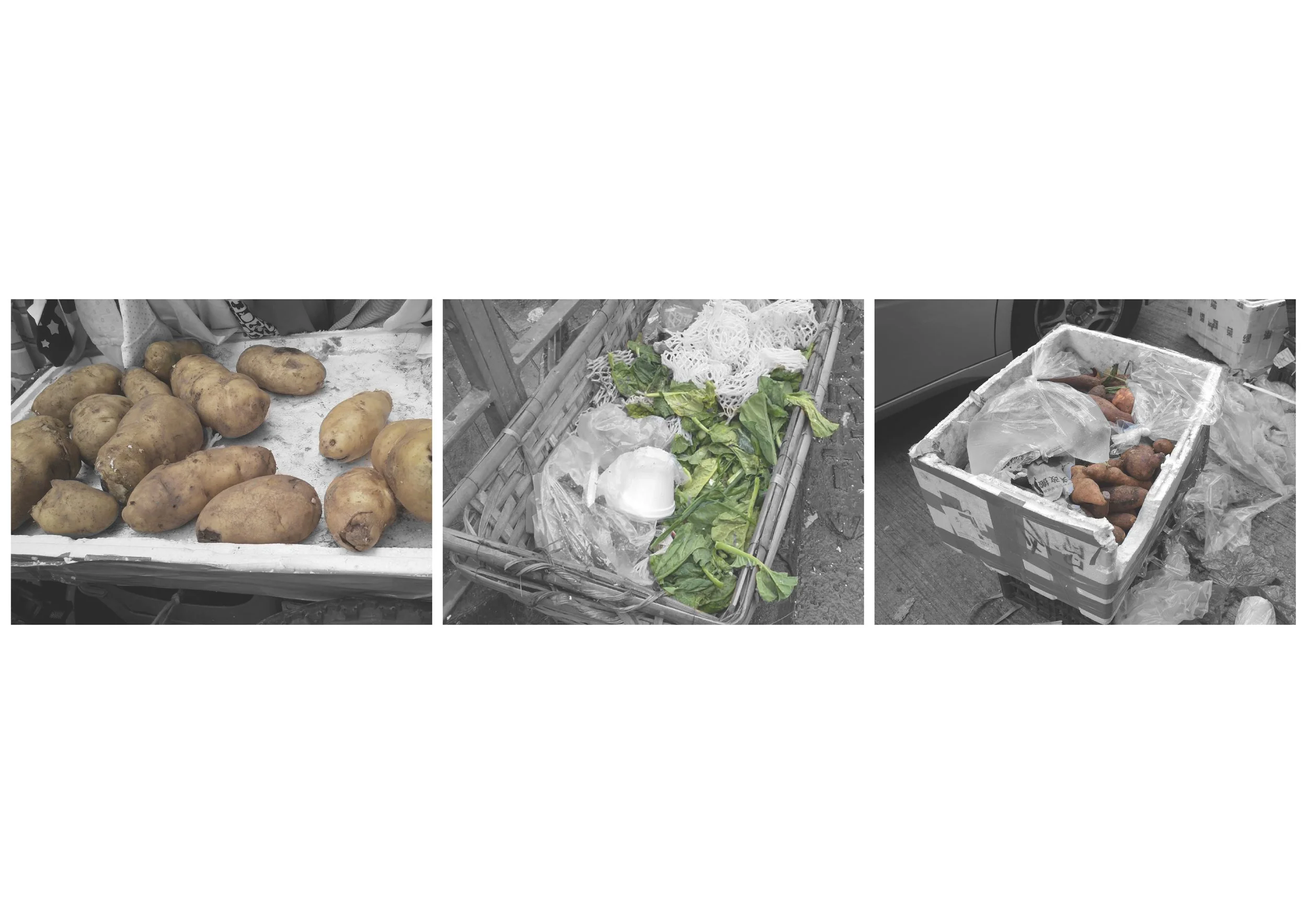 The Surplus Food Centre_13.jpg