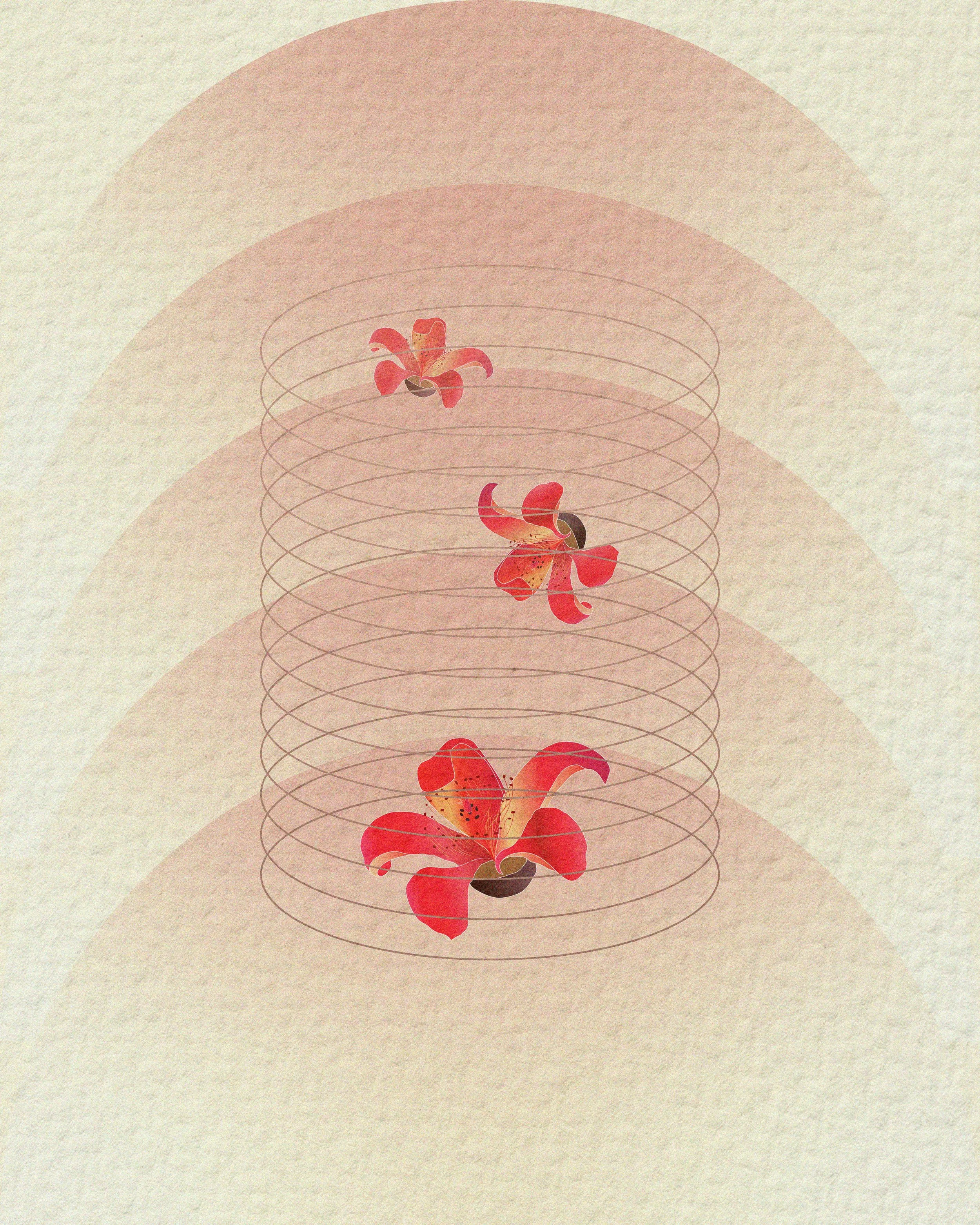 Red Kopak 木棉花 (2025)