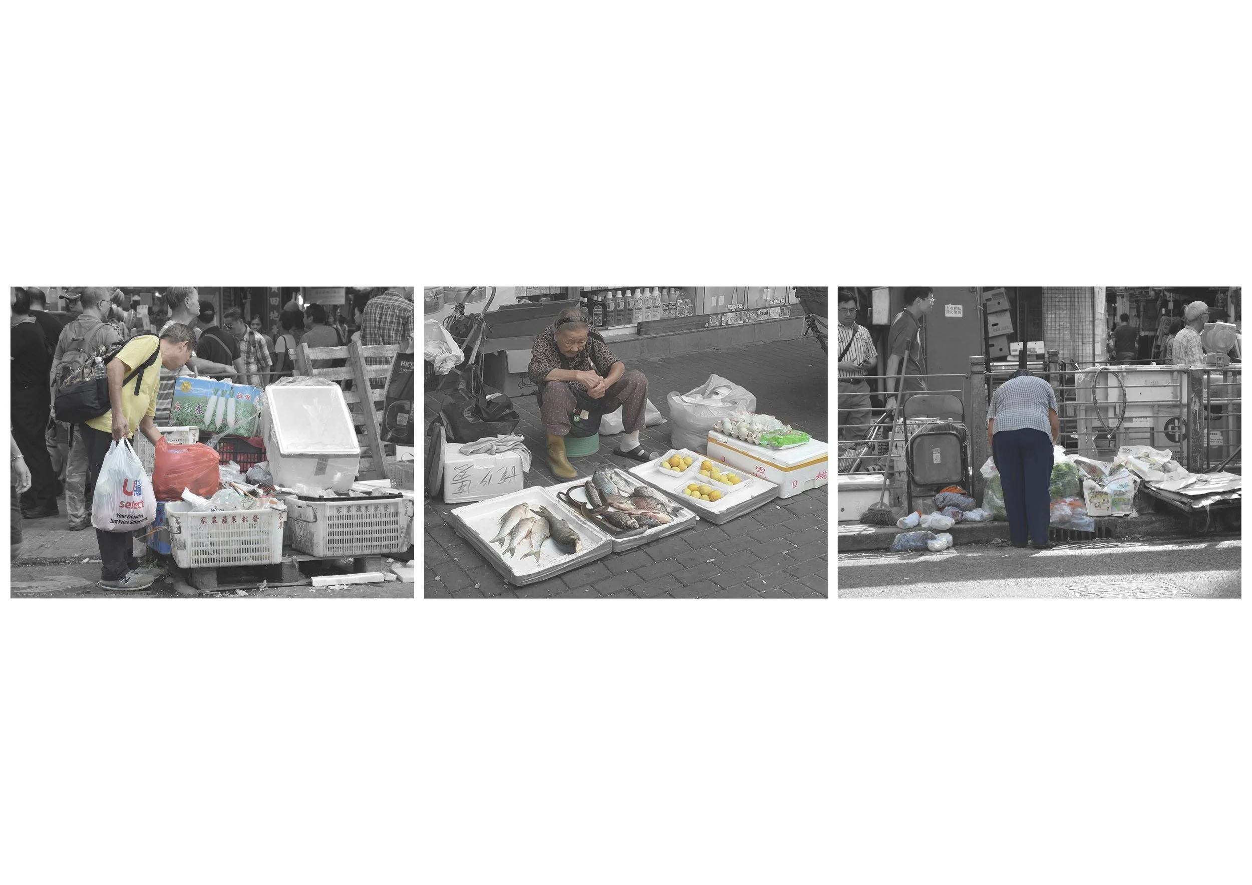 The Surplus Food Centre_12.jpg