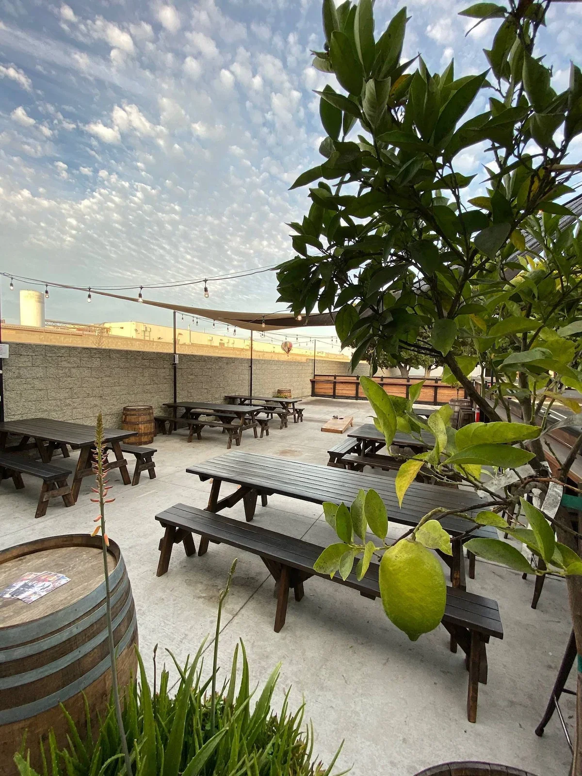 Empty outdoor patio with wooden picnic tables, barrels, string lights, and green plants under a partly cloudy sky.