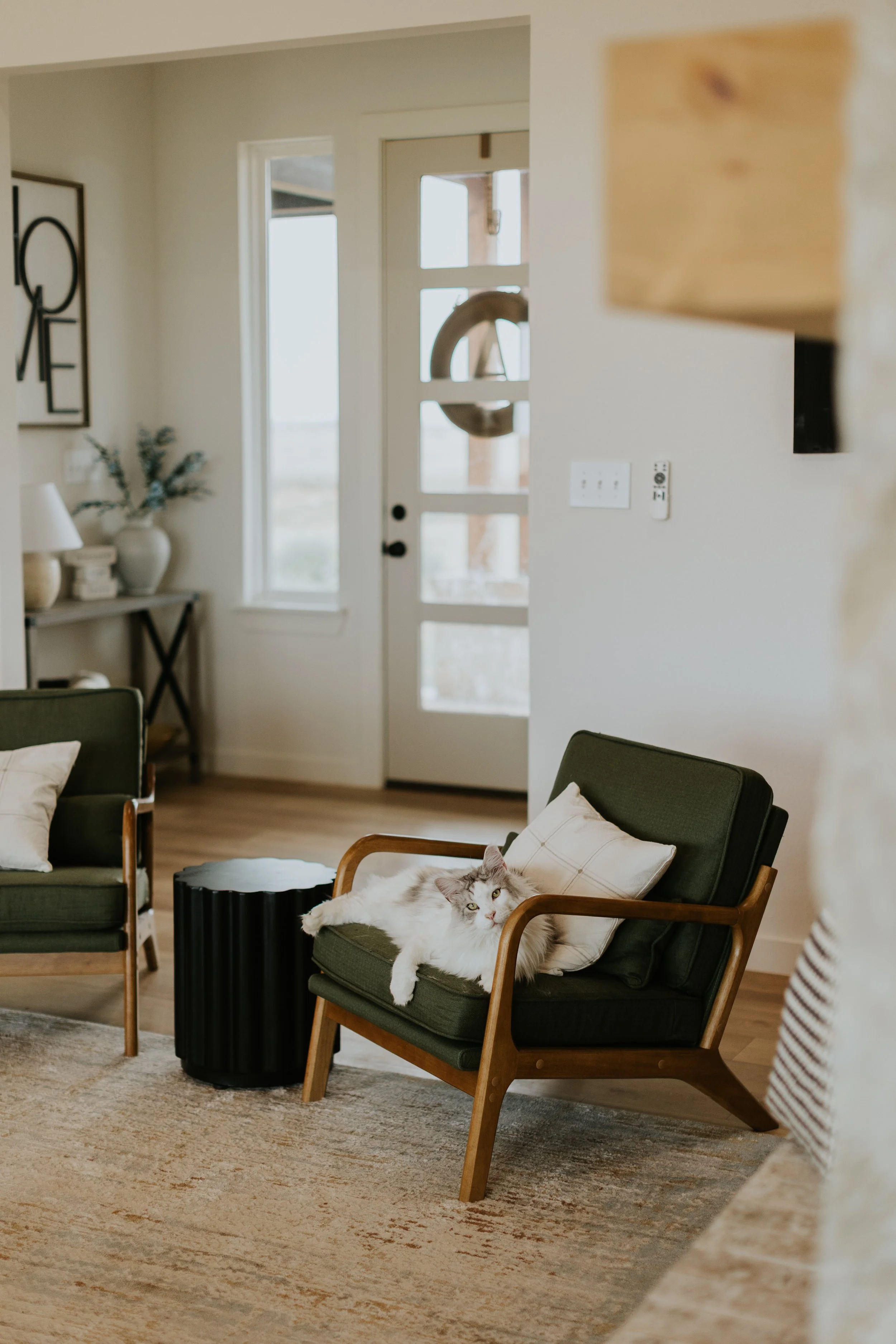 A cat lounges on a green chair in a client's home.