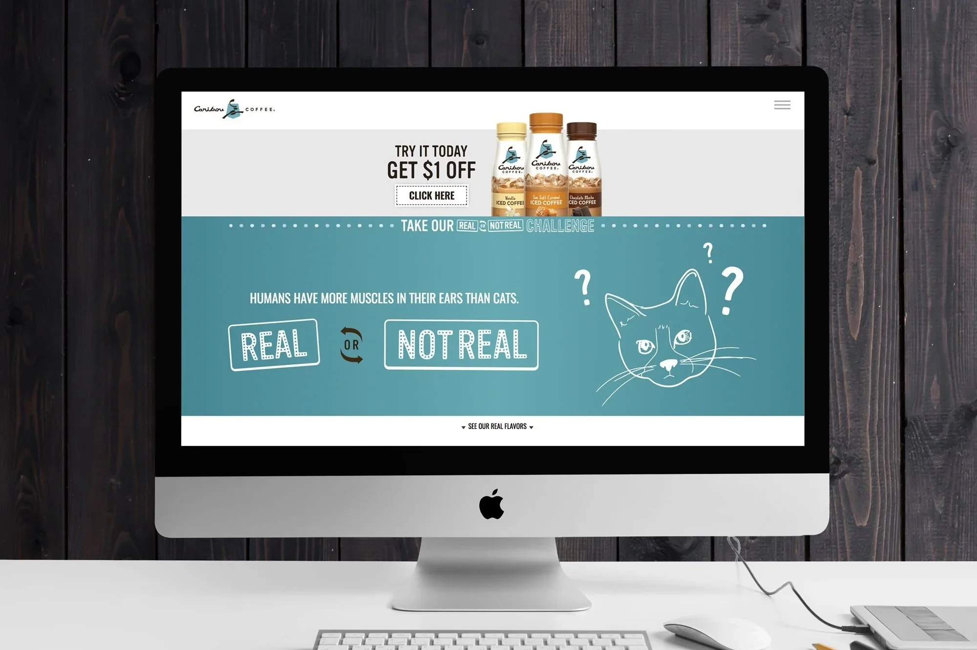 Computer screen displaying a webpage with a quiz question about whether humans have more ear muscles than cats, with options "Real" or "Not Real," and a cartoon drawing of a confused cat with question marks.