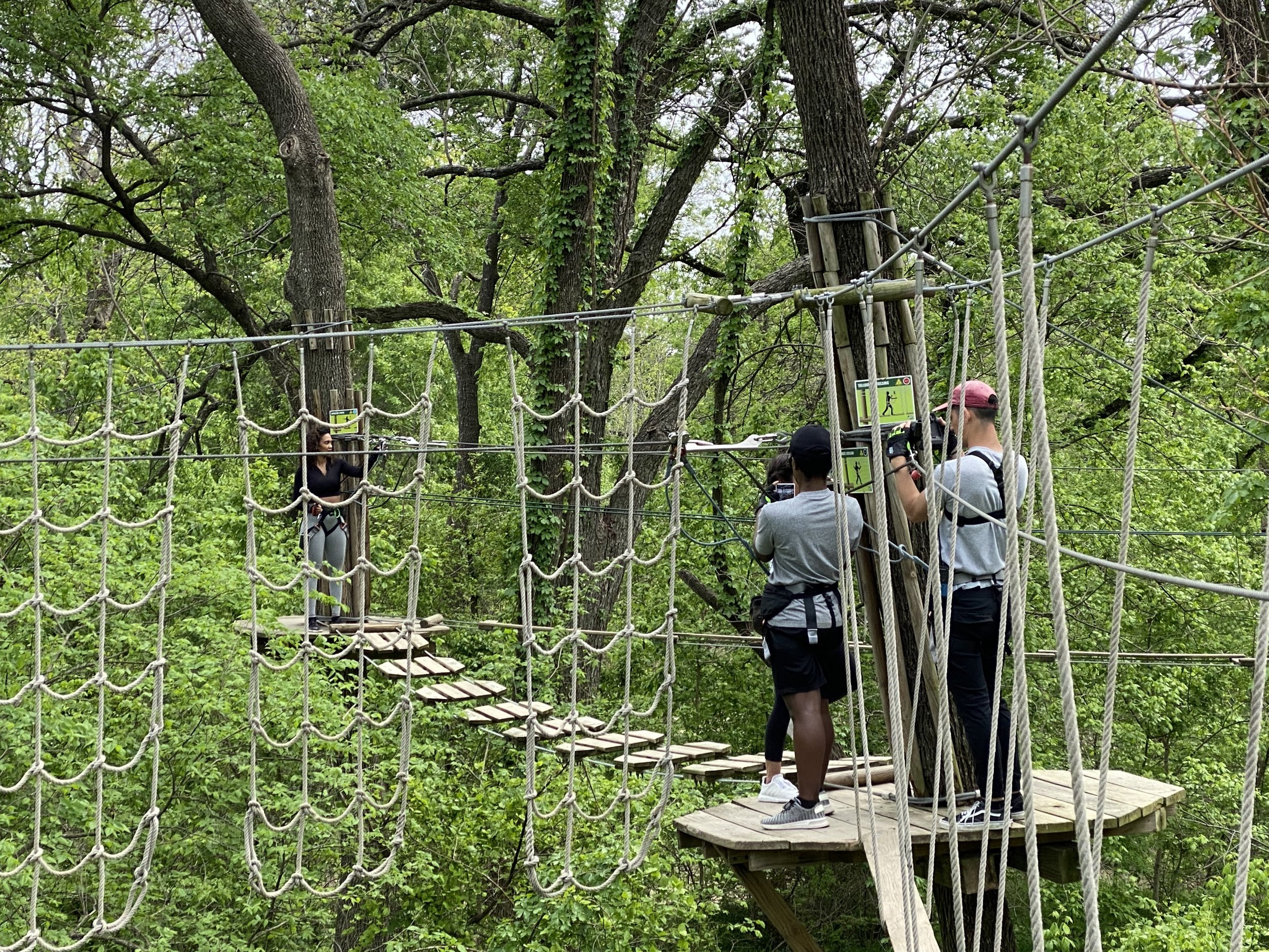 People at an outdoor adventure park crossing a rope bridge between trees, with safety harnesses and helmets.
