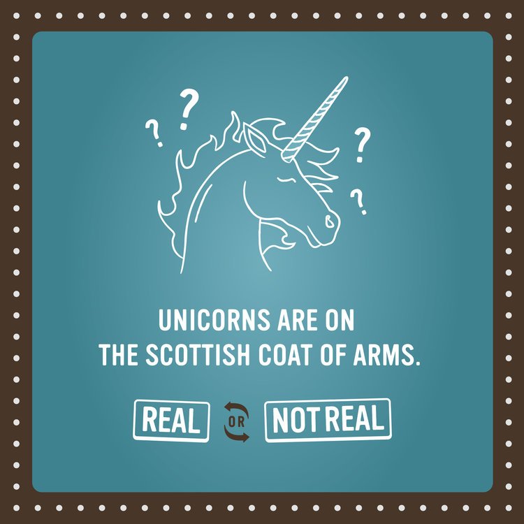 A humorous graphic showing a unicorn with a question mark above its head, accompanied by the text "Unicorns are on the Scottish coat of arms". Below are options "Real" and "Not Real" with a flip arrow between them.