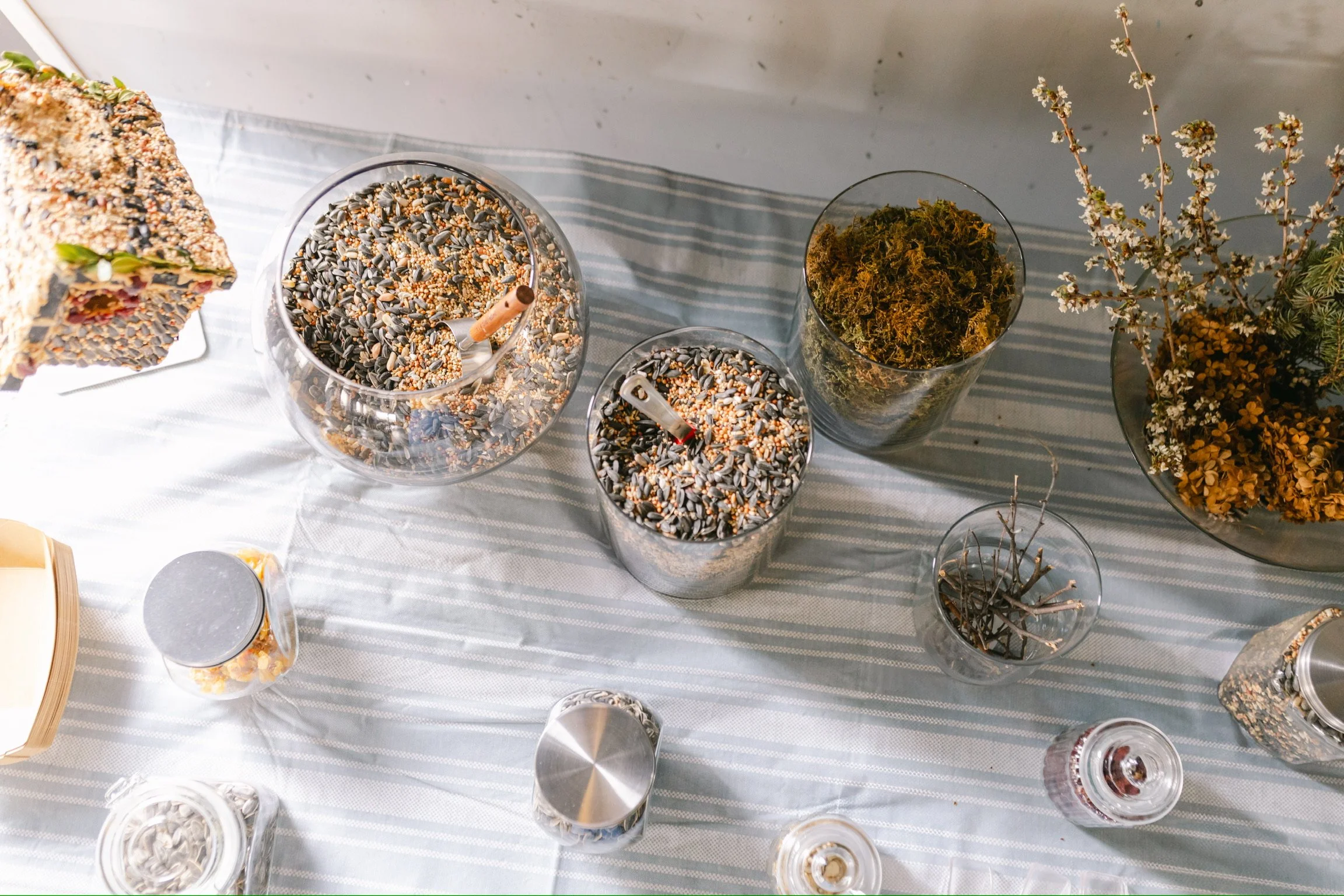 Flywheel Brewing - Birdseed Houses 3.16.26