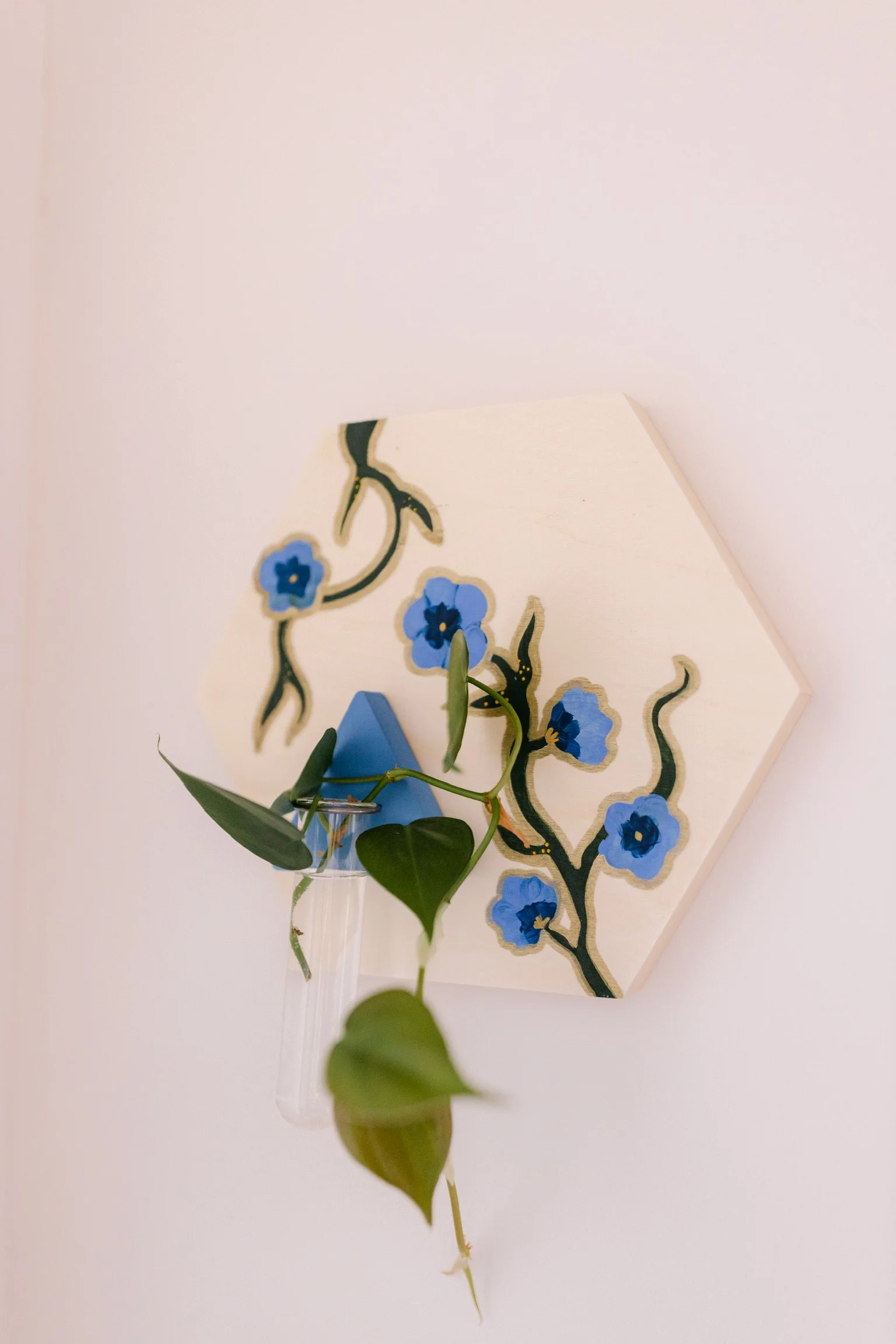 Hexagon Plant Propagation