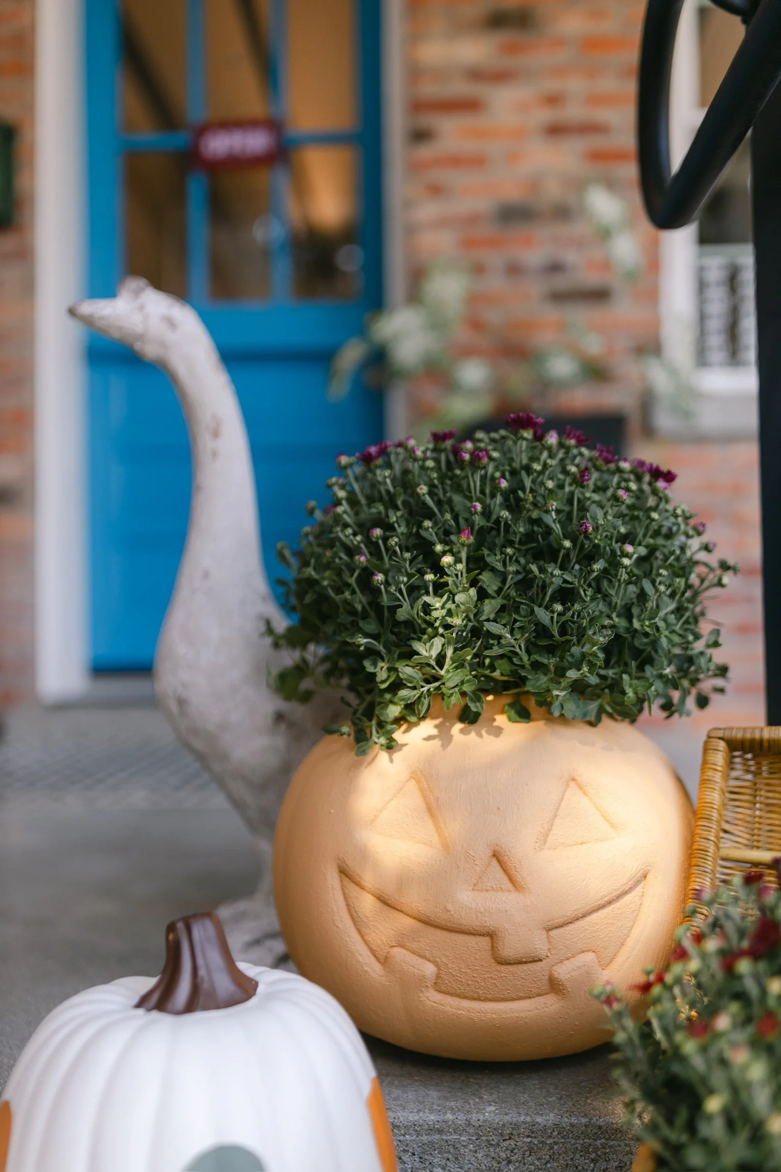 Terracotta Pumpkin 10/8/26