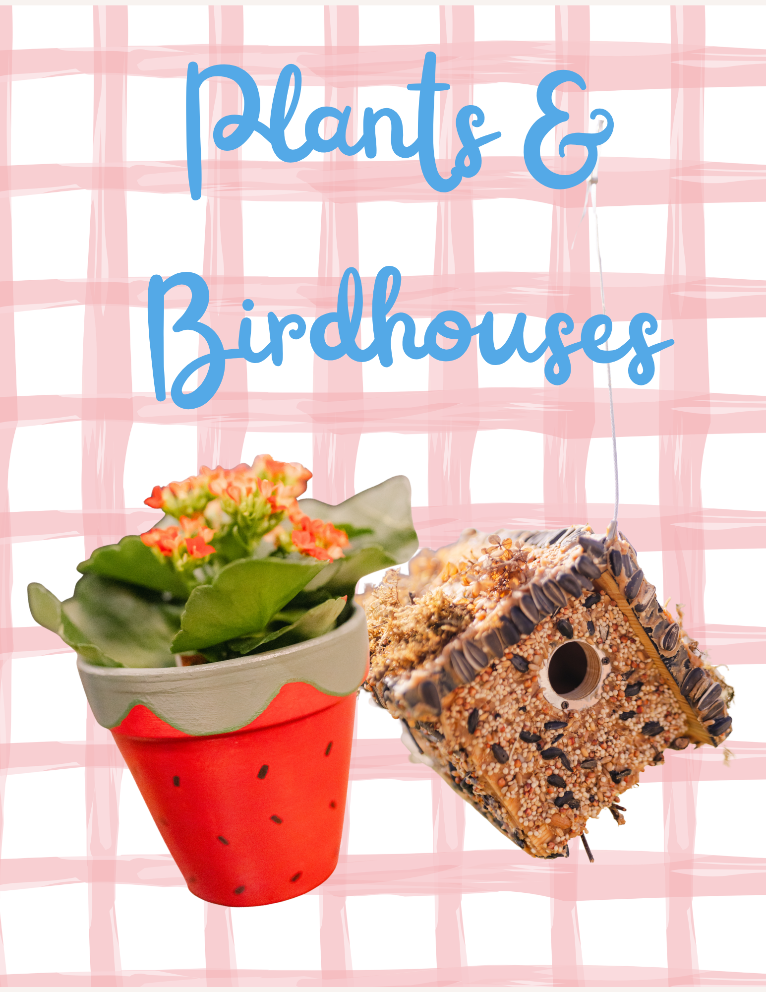 Plants and Birdhouses.png