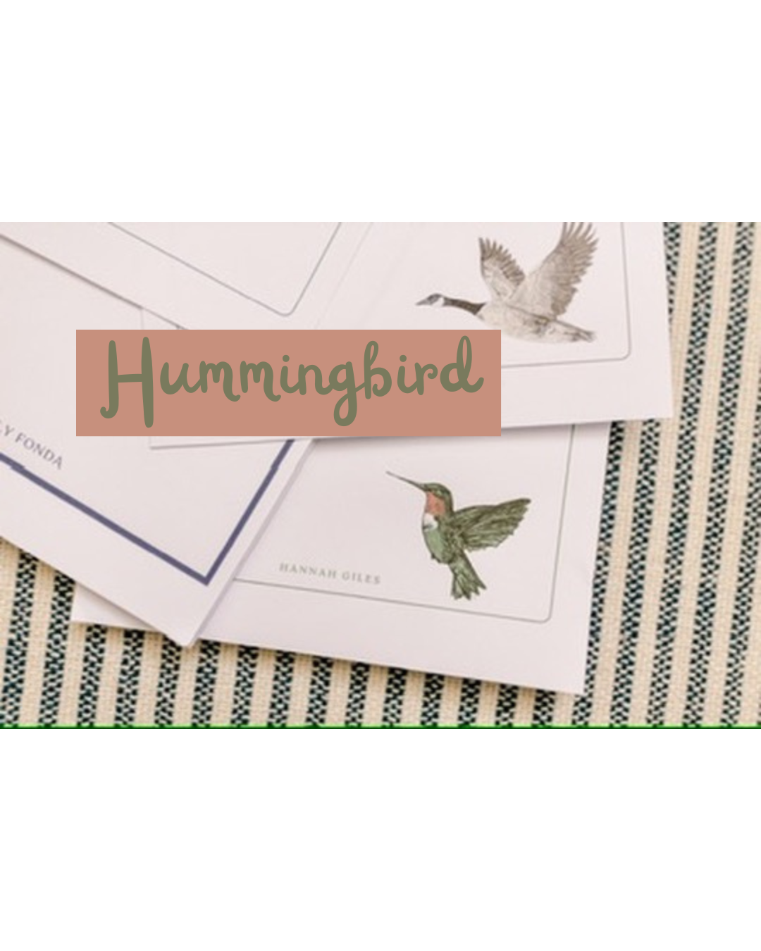 Humingbird.png