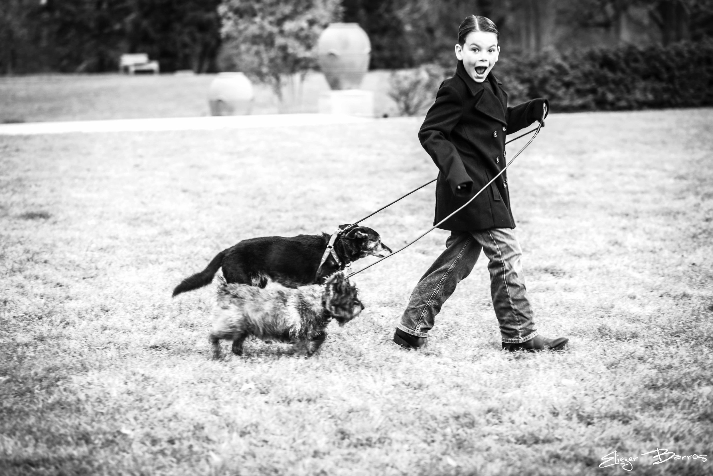 A young boy smiling and playing with two dogs on a grassy field. The boy is running while holding the leashes of the dogs, one black and white and the other larger and fluffy. The background is blurred with trees and decorative lanterns.