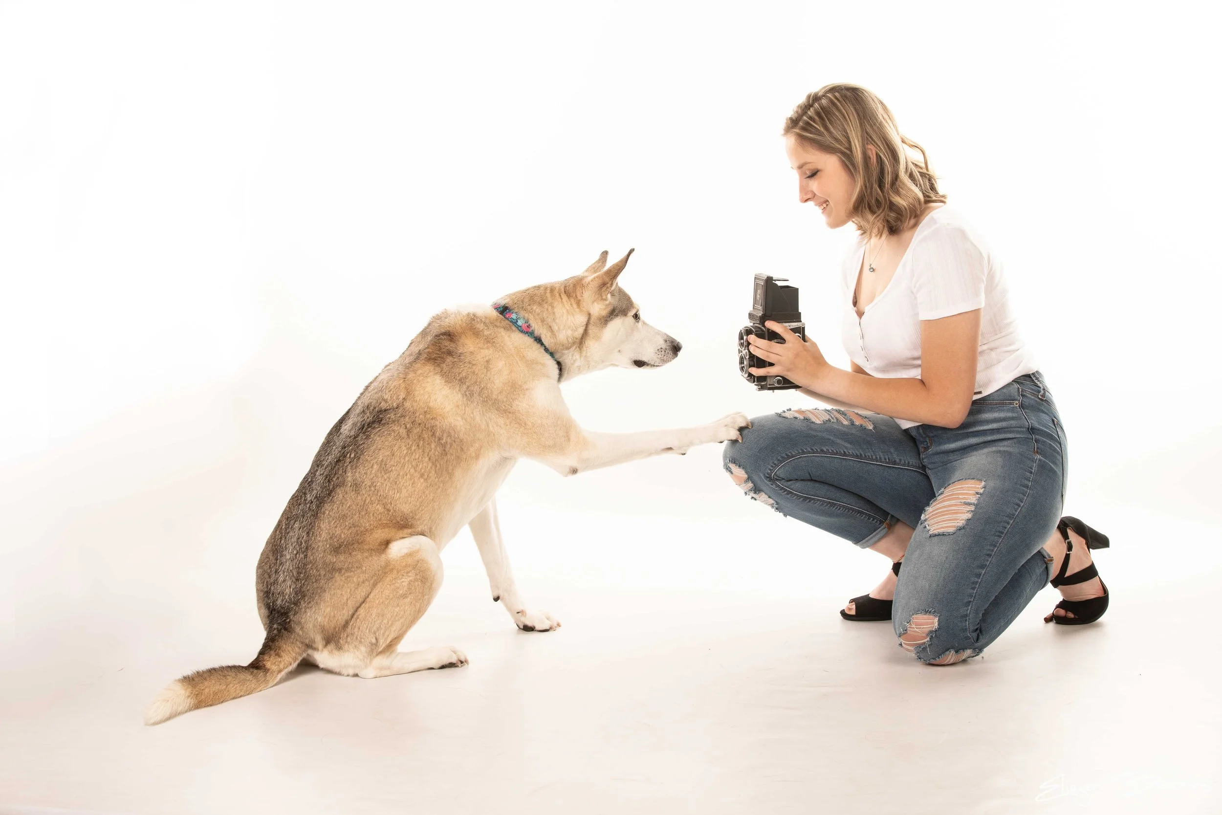 Senior Pictures With Your Pet in Pittsburgh - Great idea !