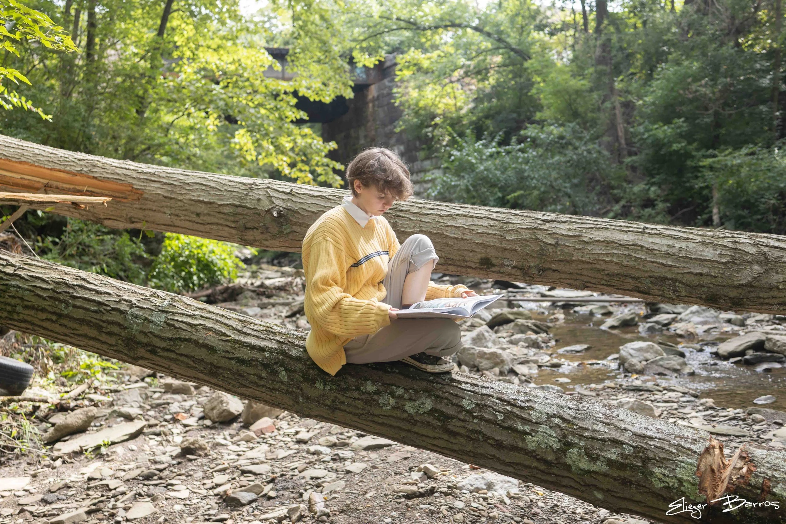 A young person sitting on a fallen tree trunk by a stream in a forest, reading a book. The person is wearing a yellow sweater and beige pants, surrounded by greenery and rocks.