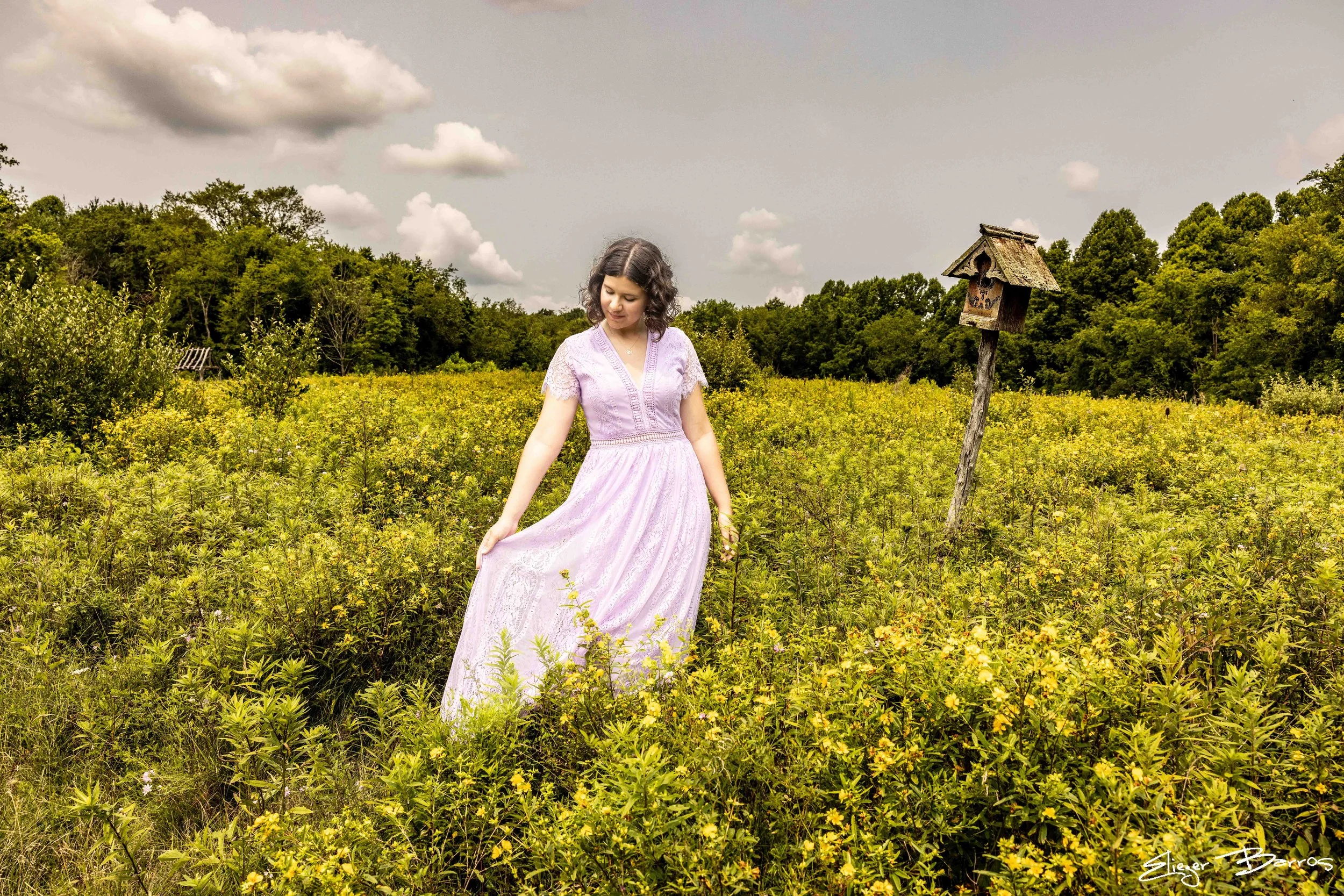 A young woman in a long, light purple dress standing in a field of yellow flowers with a wooden birdhouse on a post nearby, surrounded by green trees and a cloudy sky.