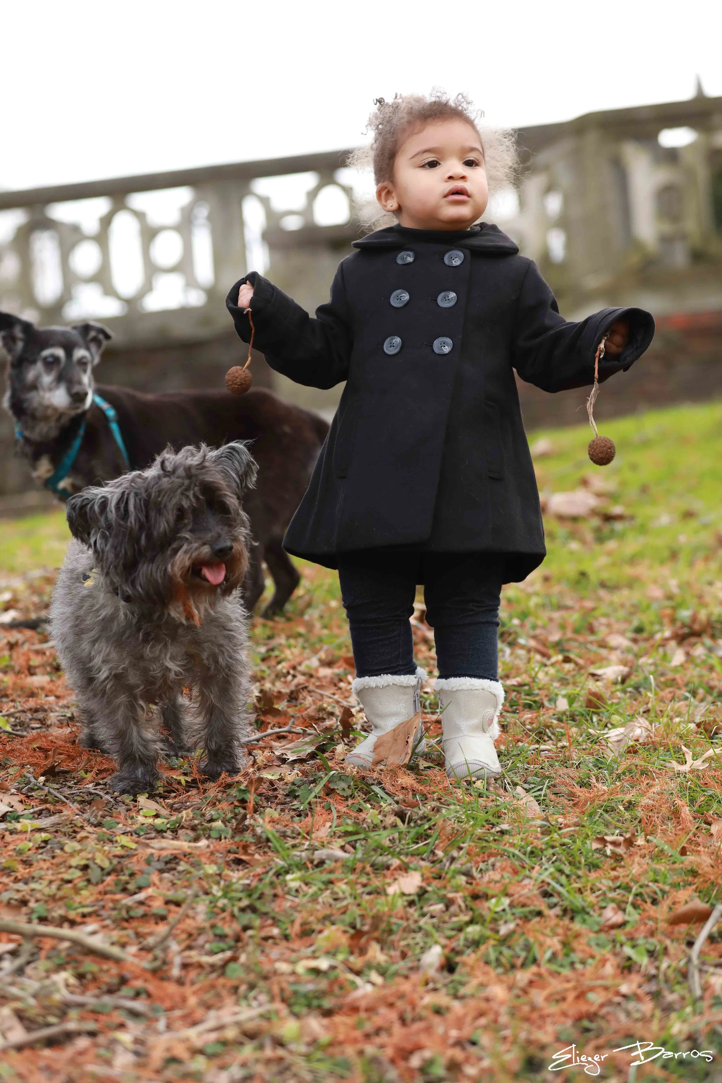 A young girl wearing a black coat, white boots, and holding two brown pom-pom toys stands outdoors on leaf-covered ground, with a small gray and black dog in front and a larger black dog behind, in front of a stone railing.