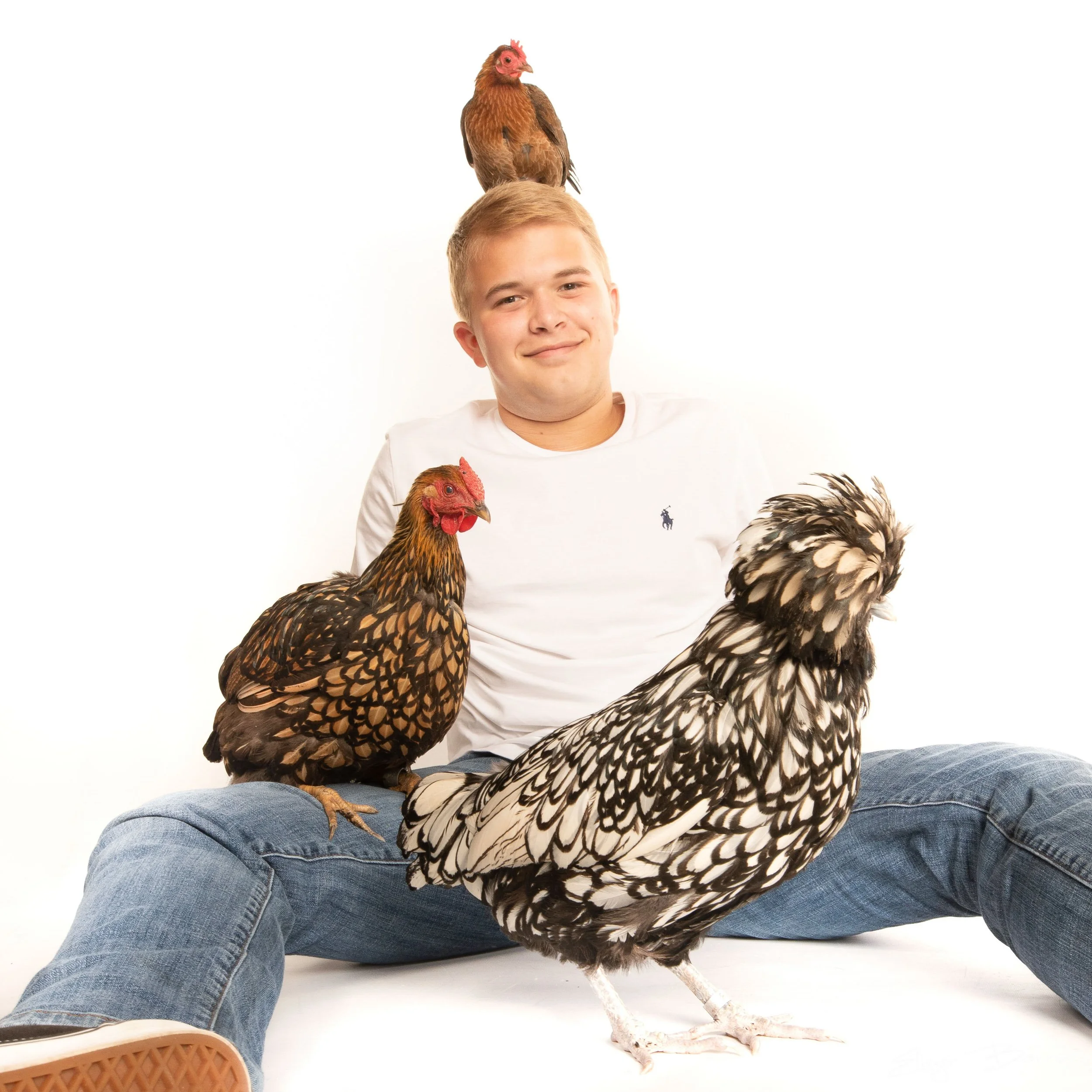 A young man sitting on the floor wearing a white shirt and blue jeans, with a chicken perched on his head and two other chickens in the foreground.
