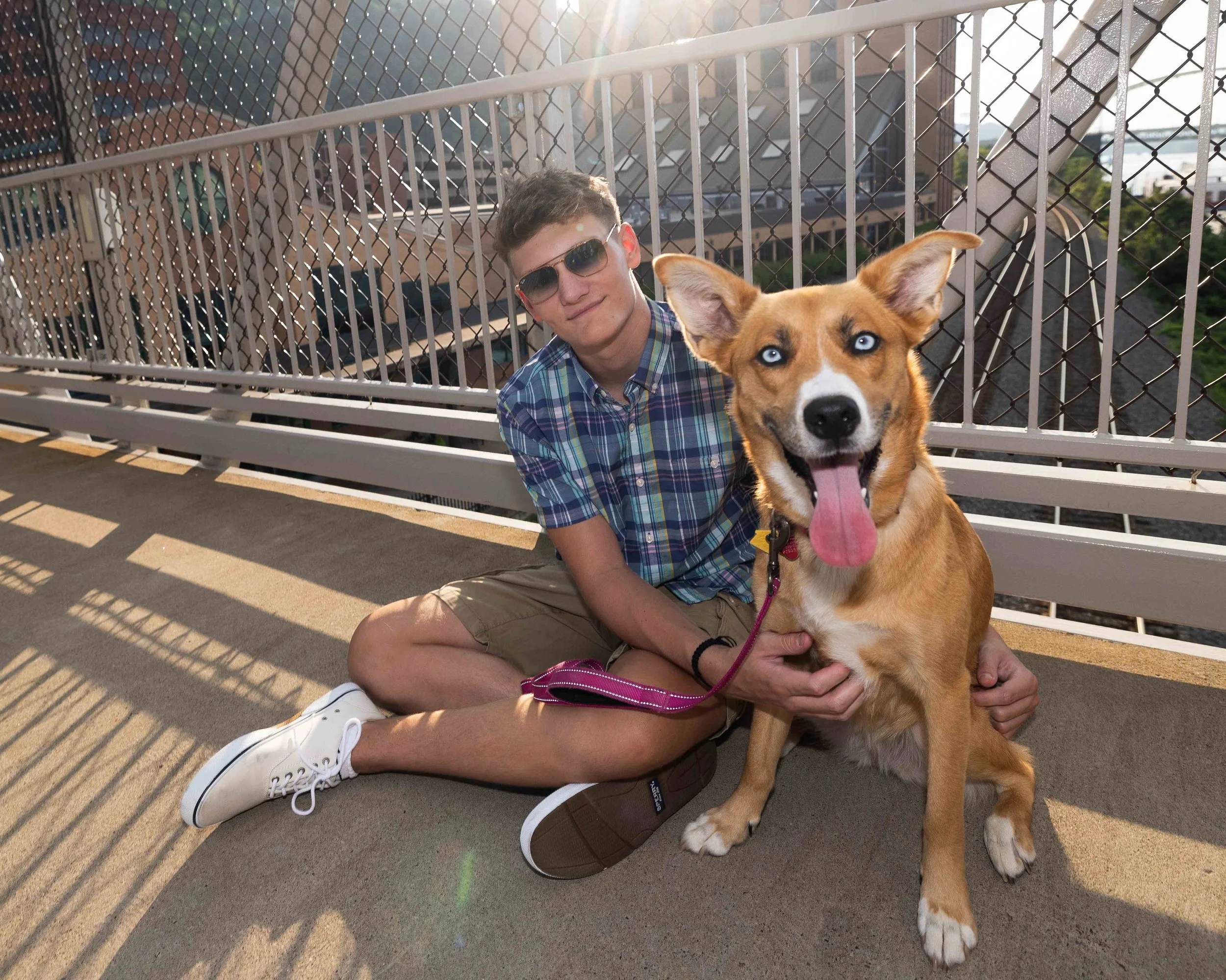 A person wearing sunglasses, a plaid shirt, khaki shorts, and white sneakers sitting on a rooftop with a cityscape in the background, holding a happy dog with bright blue eyes and a tongue out in the sunlight.