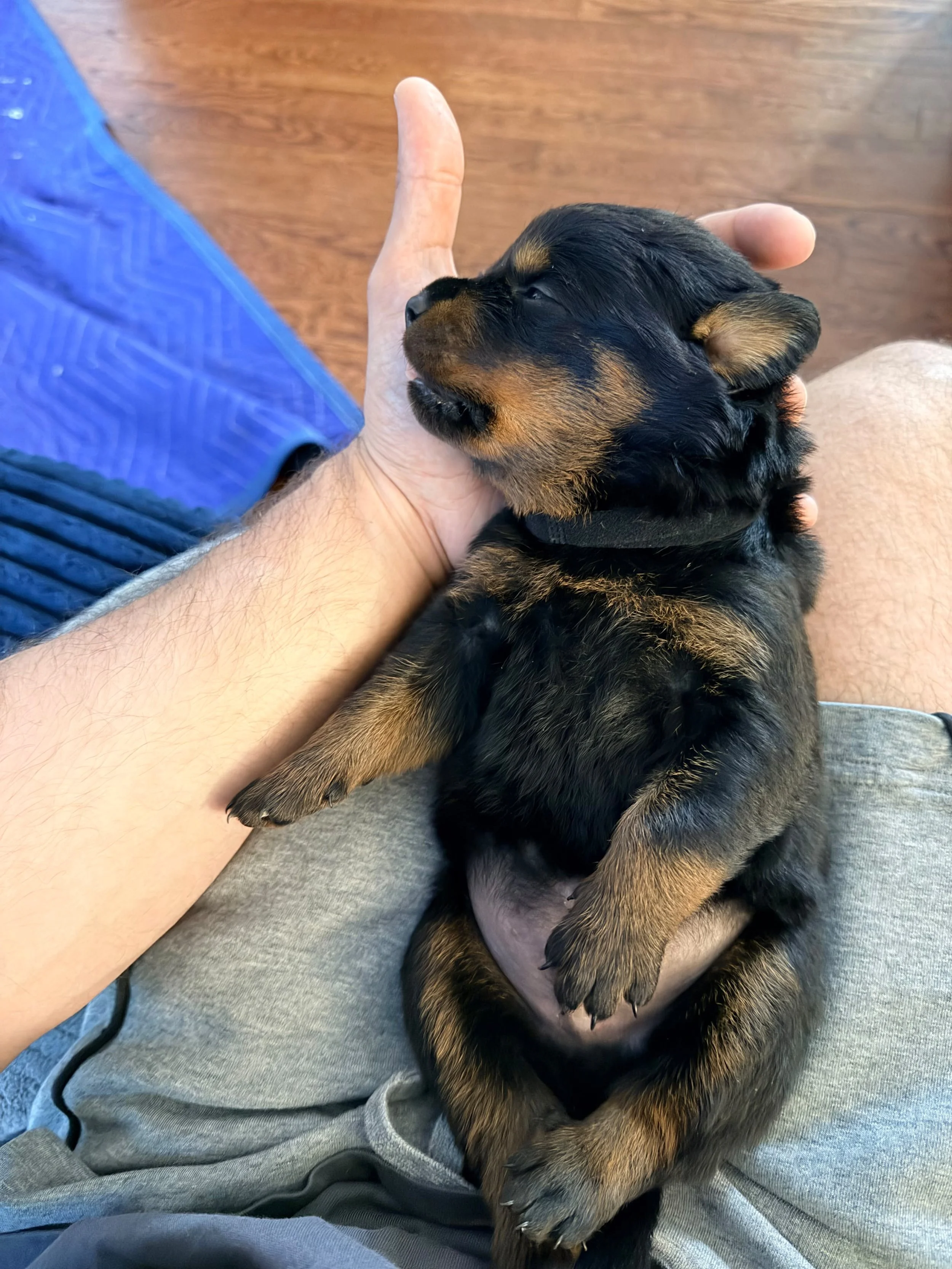 WhatsApp Image 2026-09-06 at 19.16.00.jpeg