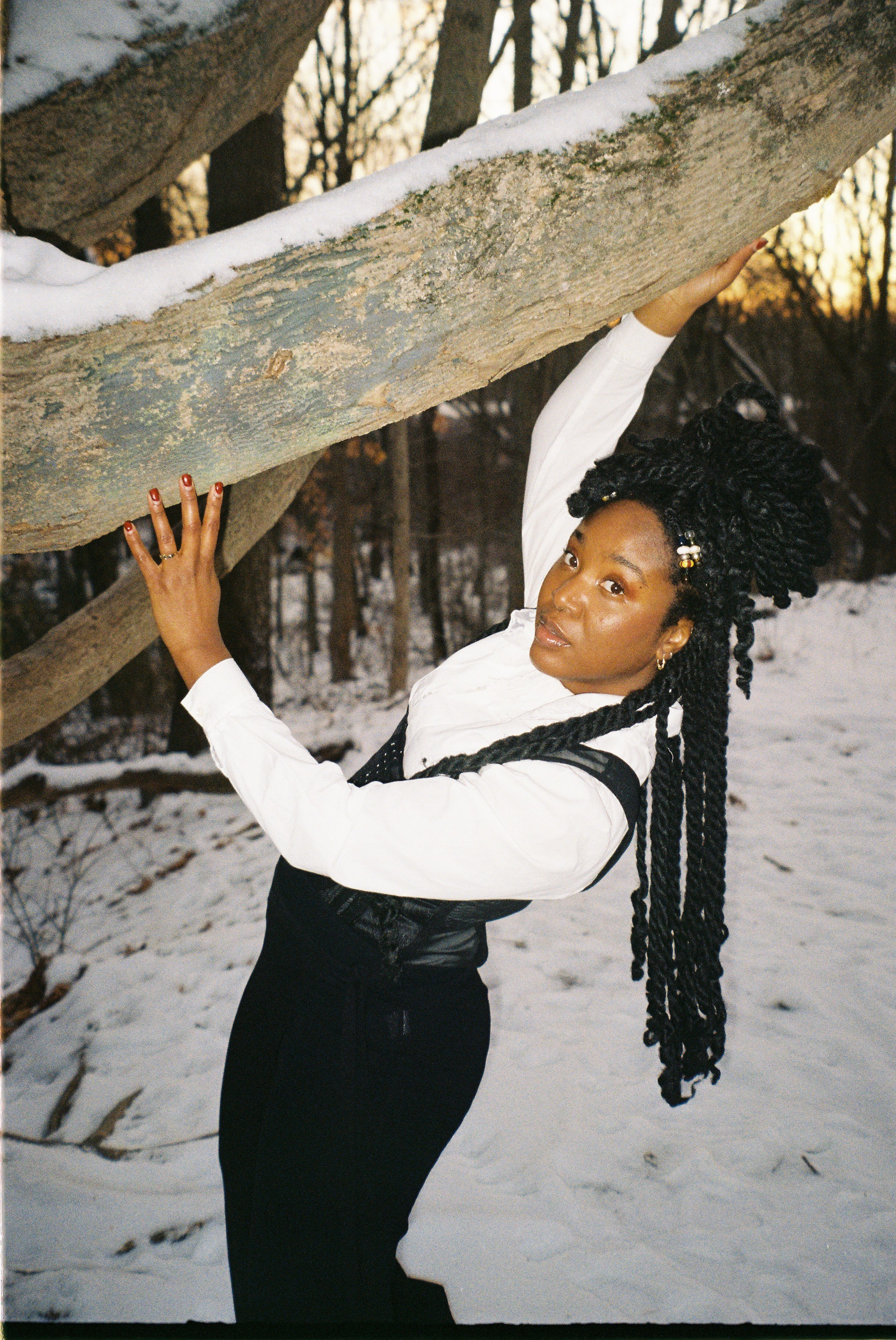 Untitled design (3) 38.png