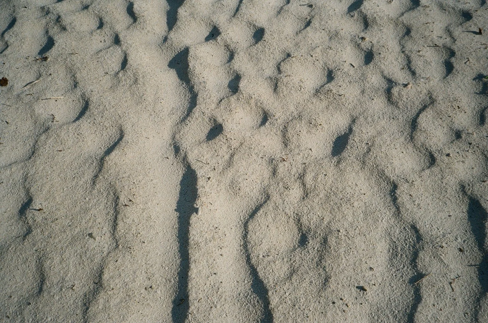 000022350008.jpg
