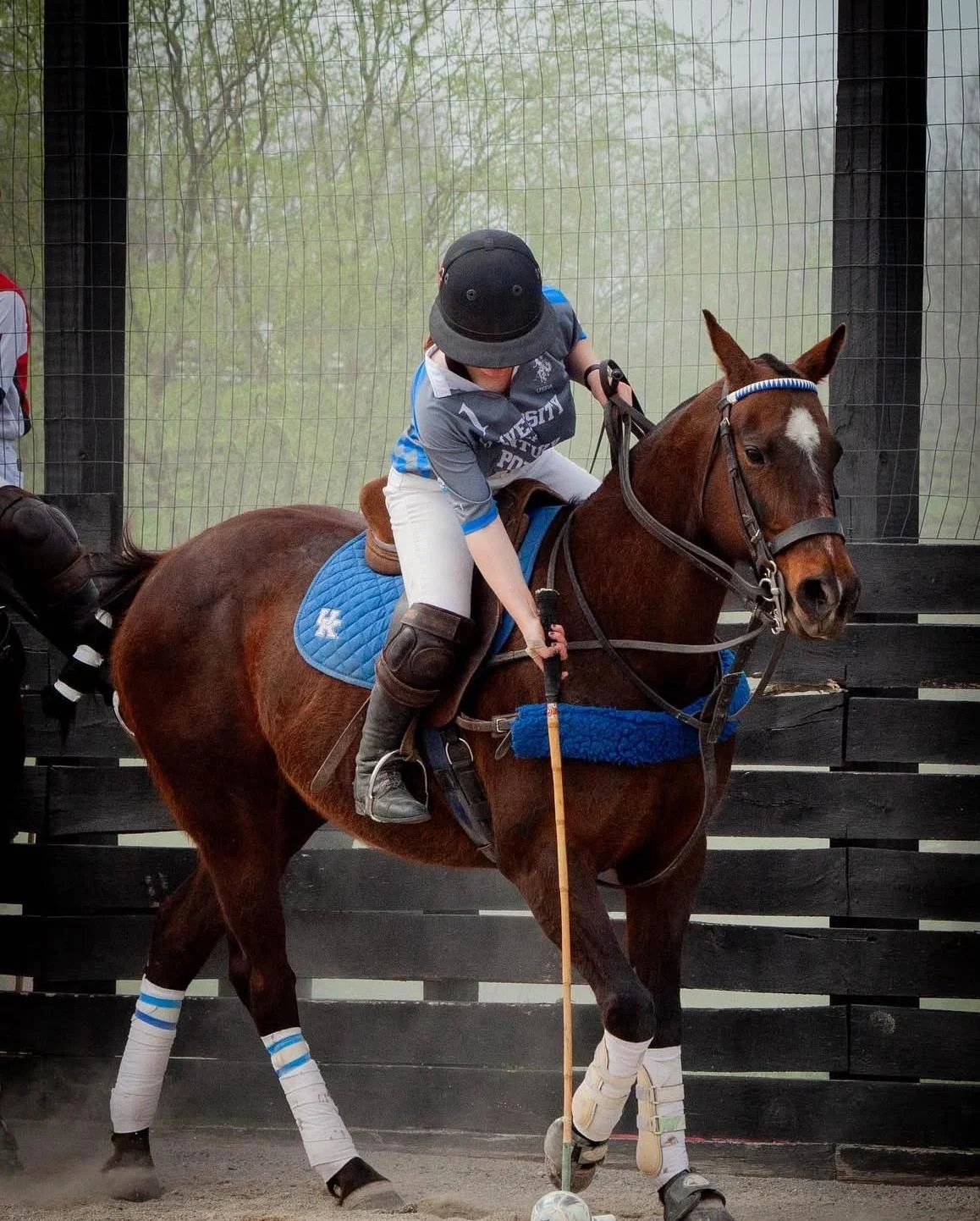 "REINA" - donated by Will Bowlin